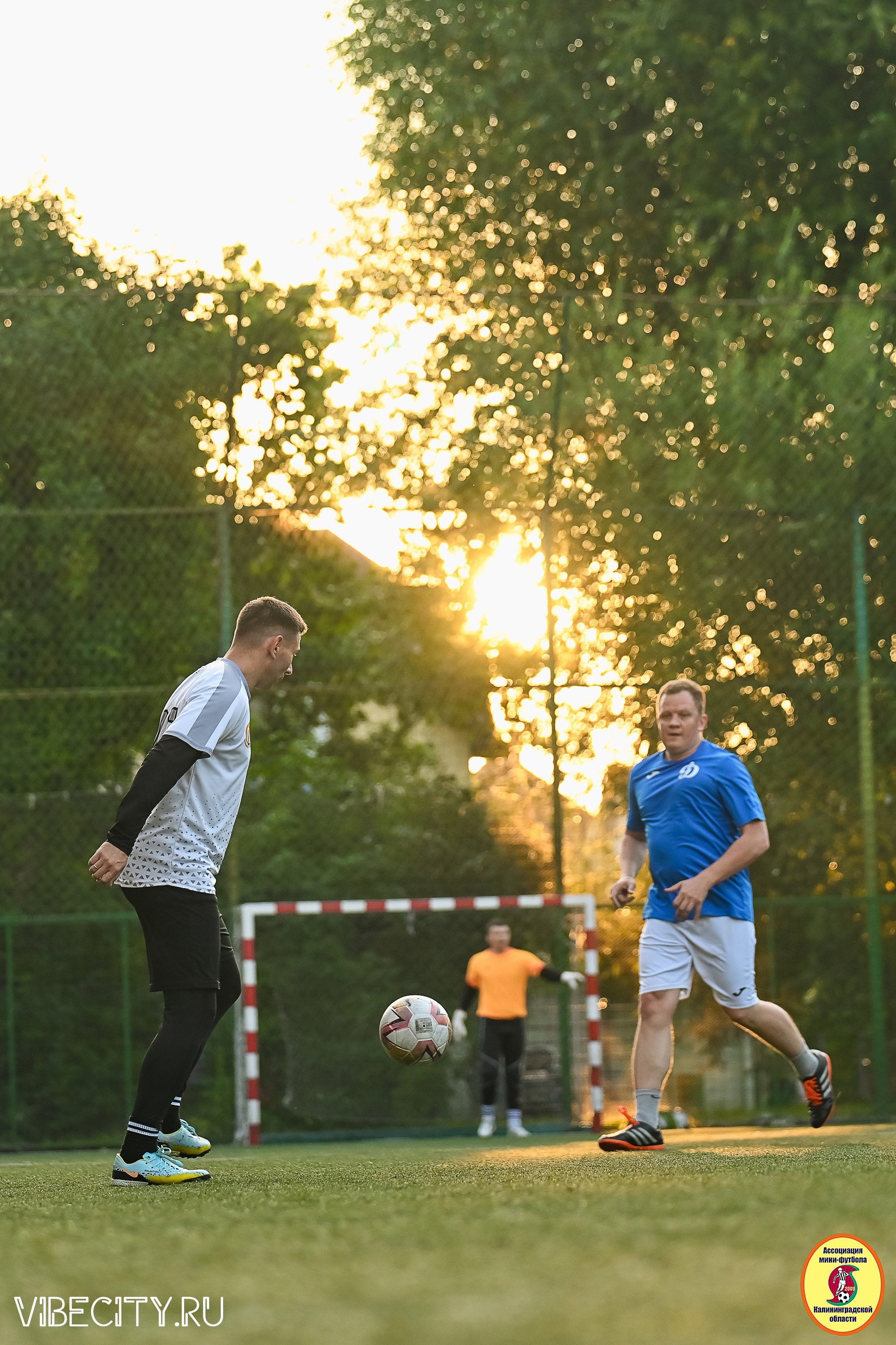 ИГРЫ ПЛЕЙ-ОФФ ПЕРВОГО ДИВИЗИОНА МИНИ-ФУТБОЛЬНОЙ ЛИГИ. VIBECITY.RU Вайб Сити Ру Фоторепортажи Фотоотчеты Калининград
