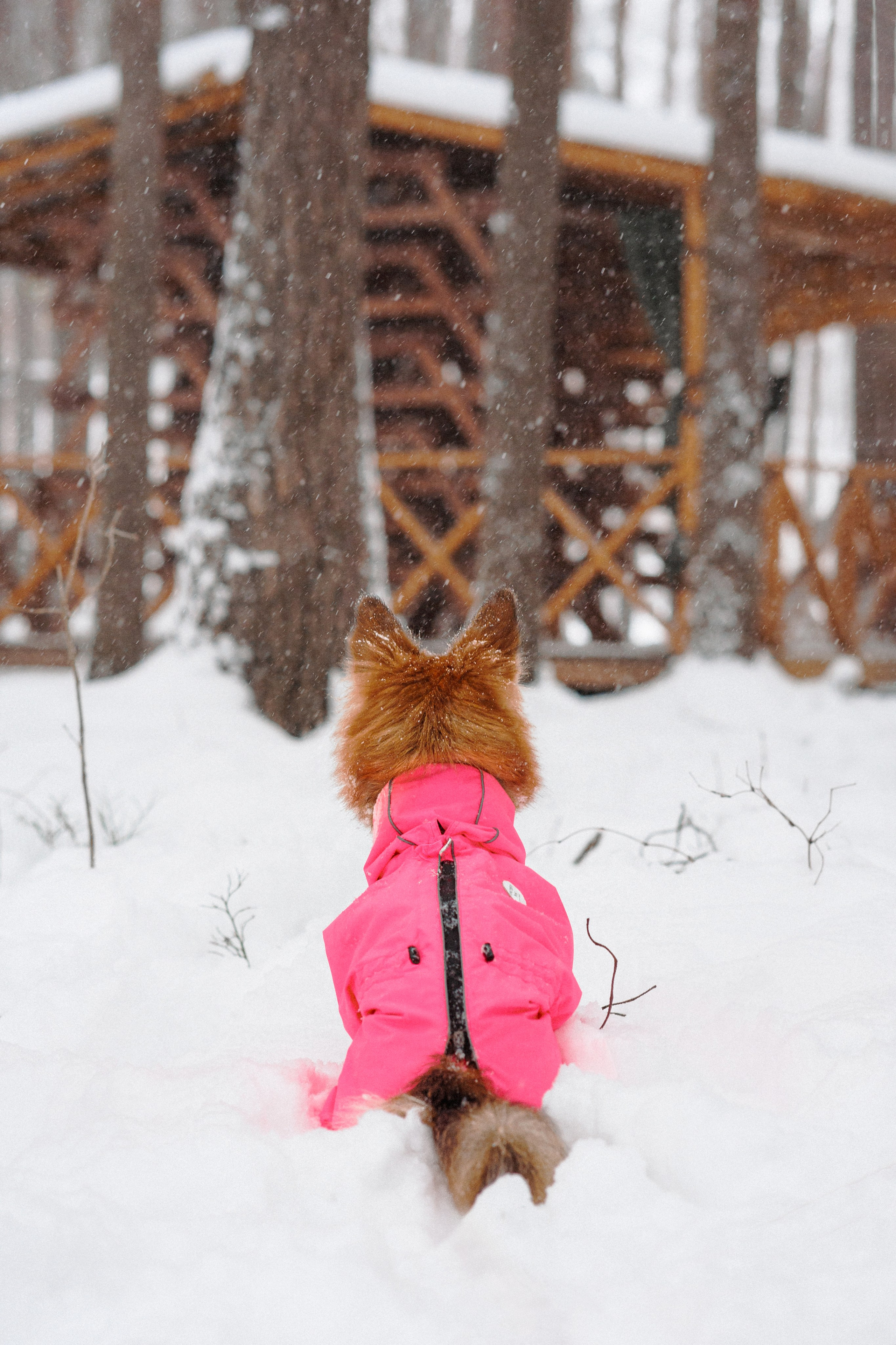 Сестры. Фотограф в Санкт-Петербурге Алёна Губинская