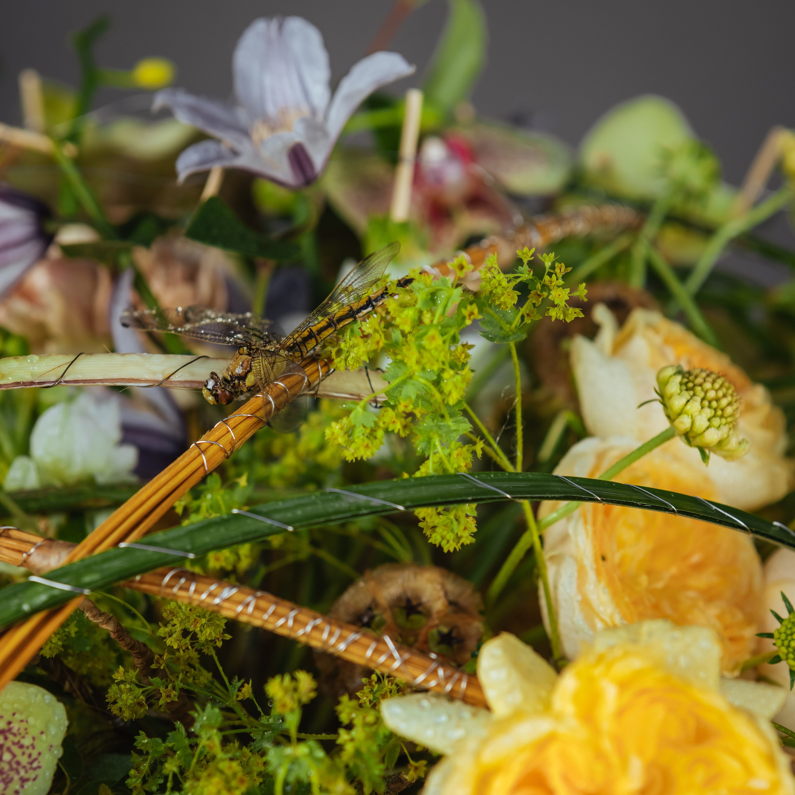 Фестиваль флористов Flower Boom 2023