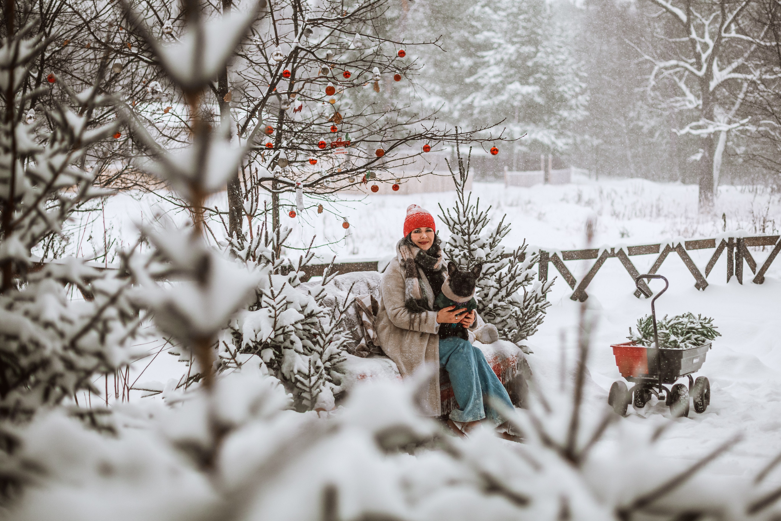 Кантри Хаус. Фотограф-анималист Татьяна Степанова