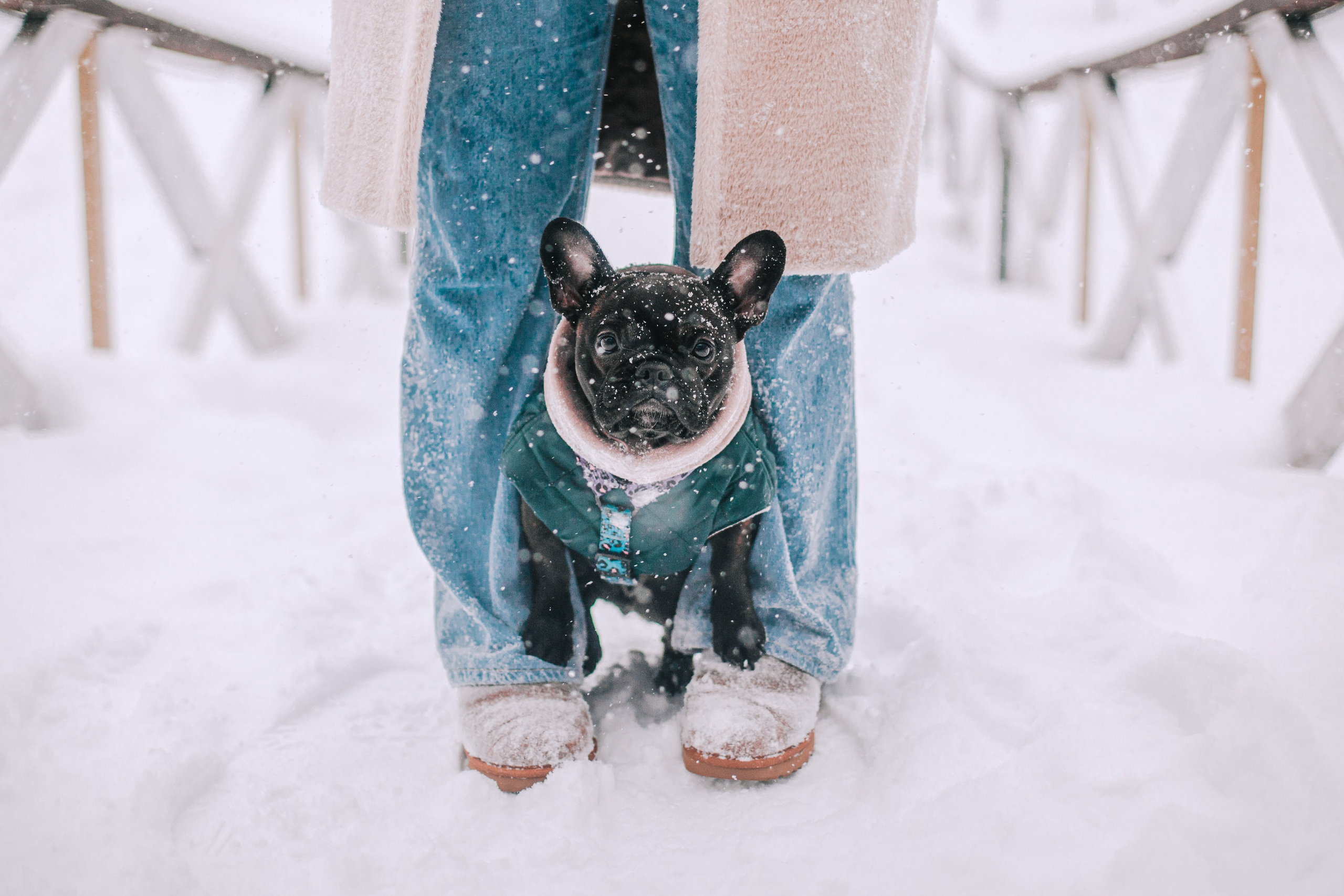 Кантри Хаус. Фотограф-анималист Татьяна Степанова