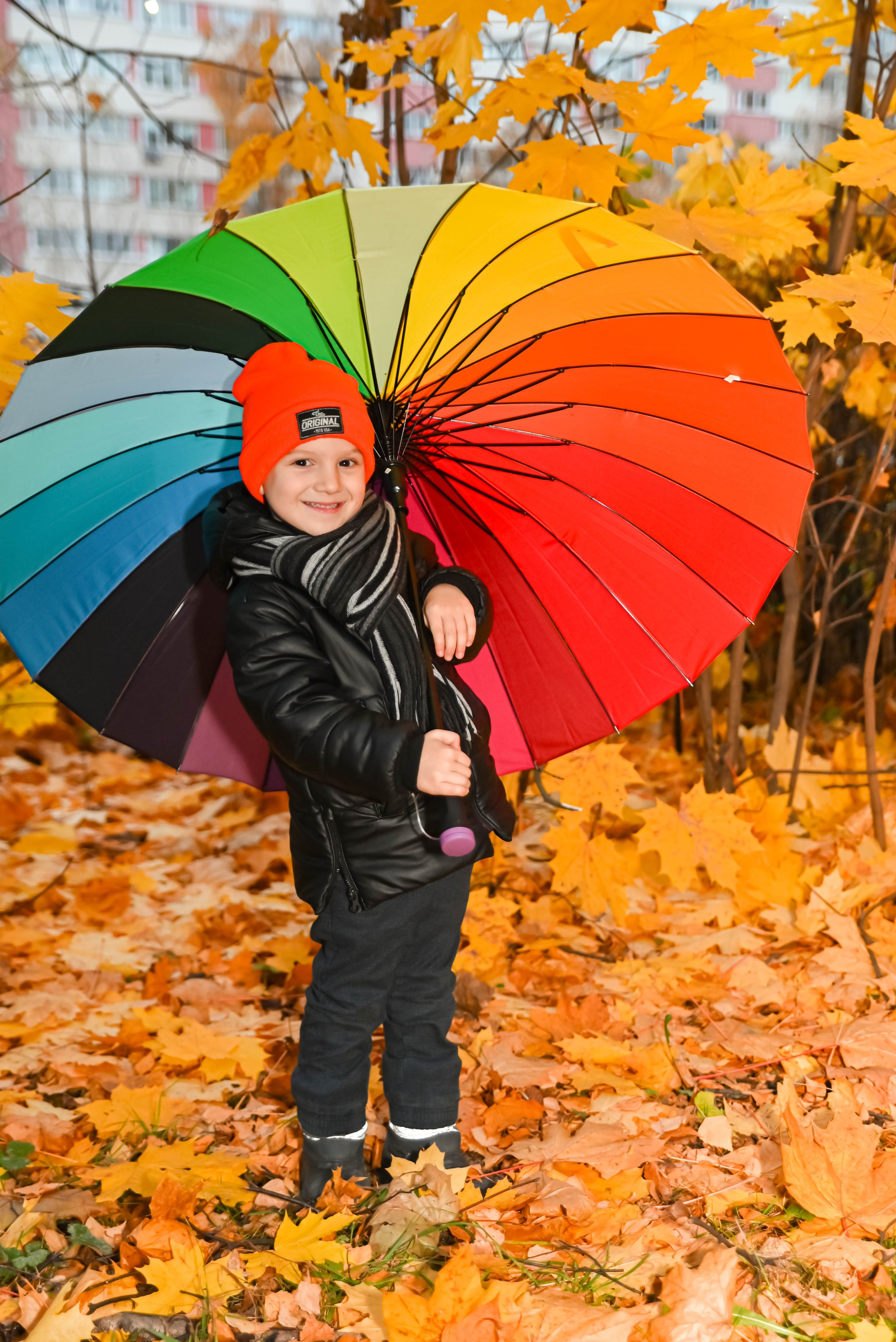 Золотая осень. Выпускные альбомы для детских садов Санкт-Петербург