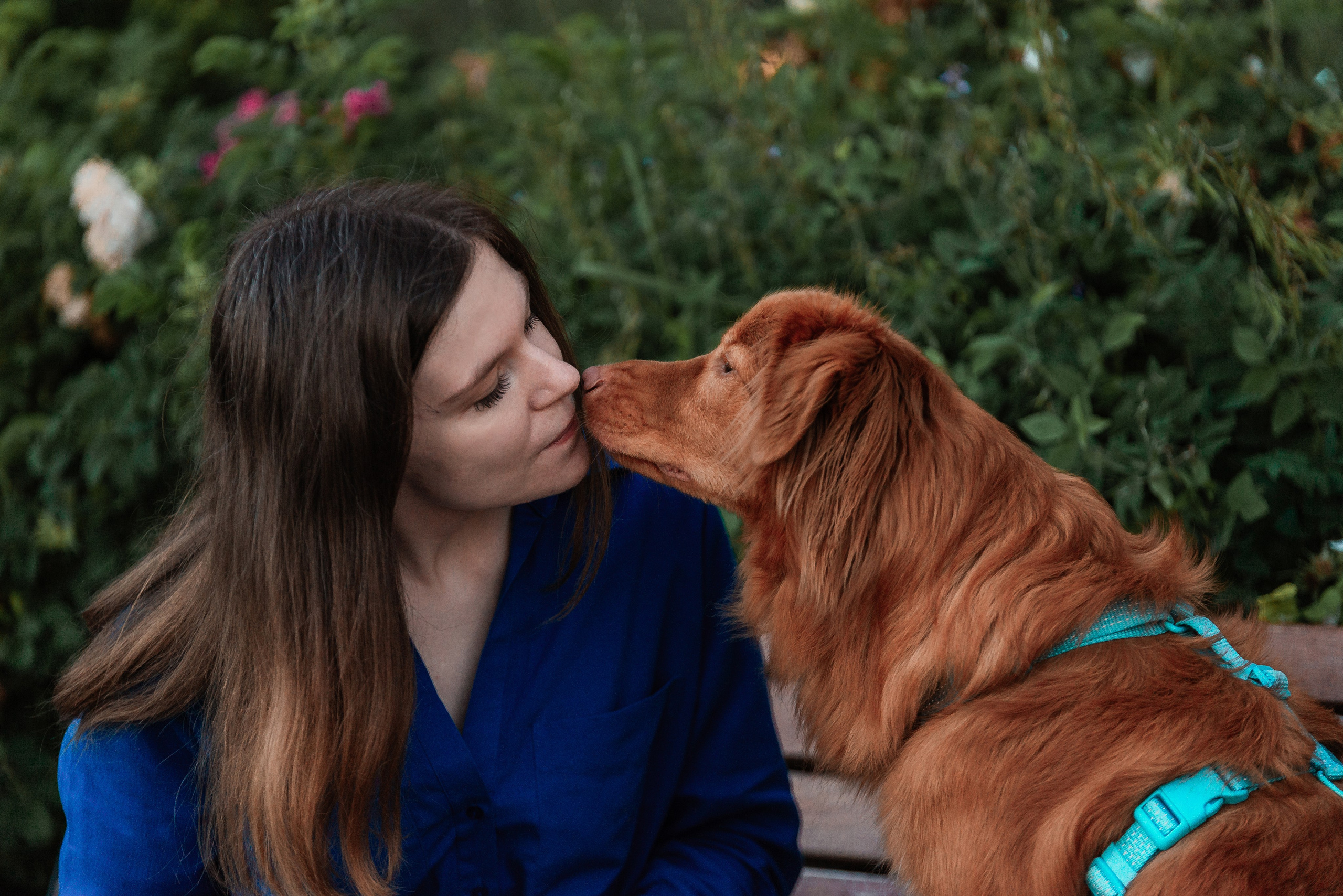 Таня и Лео. Фотограф-анималист Анастасия Парфенова|Екатеринбург