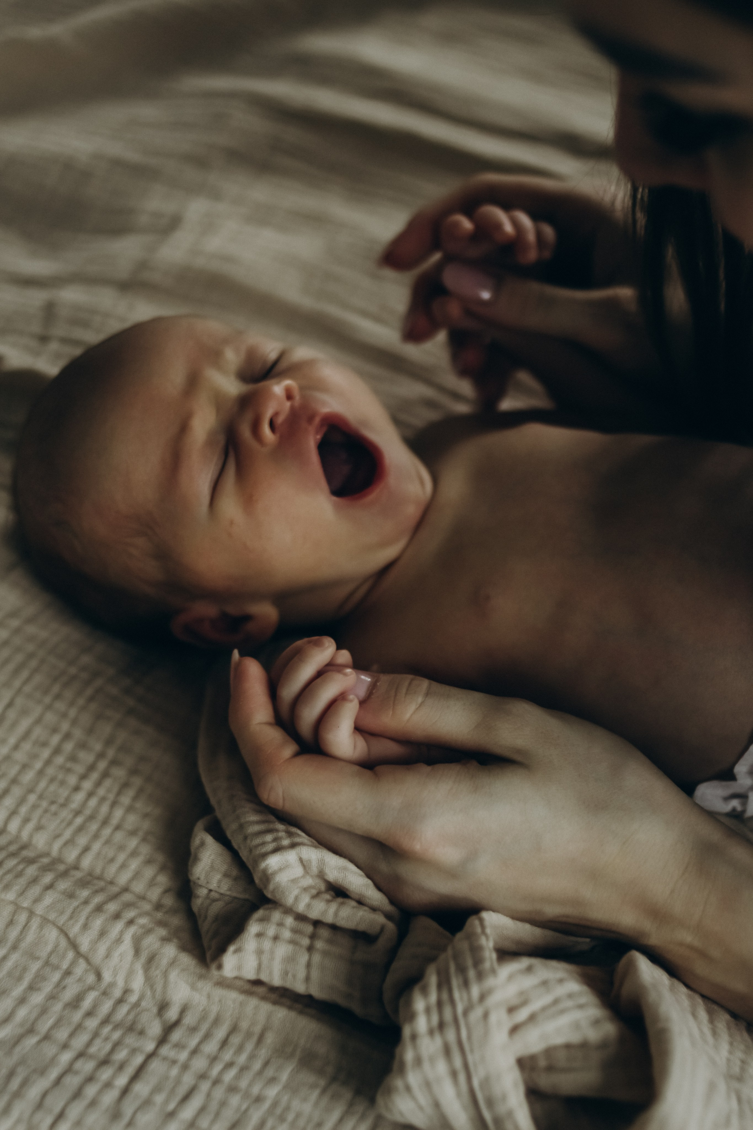 Домашняя 23.08.2025. Свой фотограф Нижний Новгород