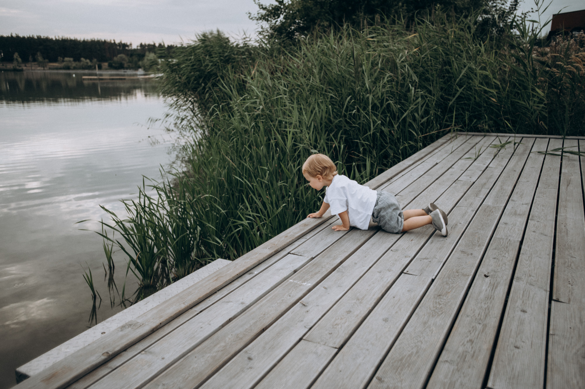 Моня. Фотограф Милка Татьяна