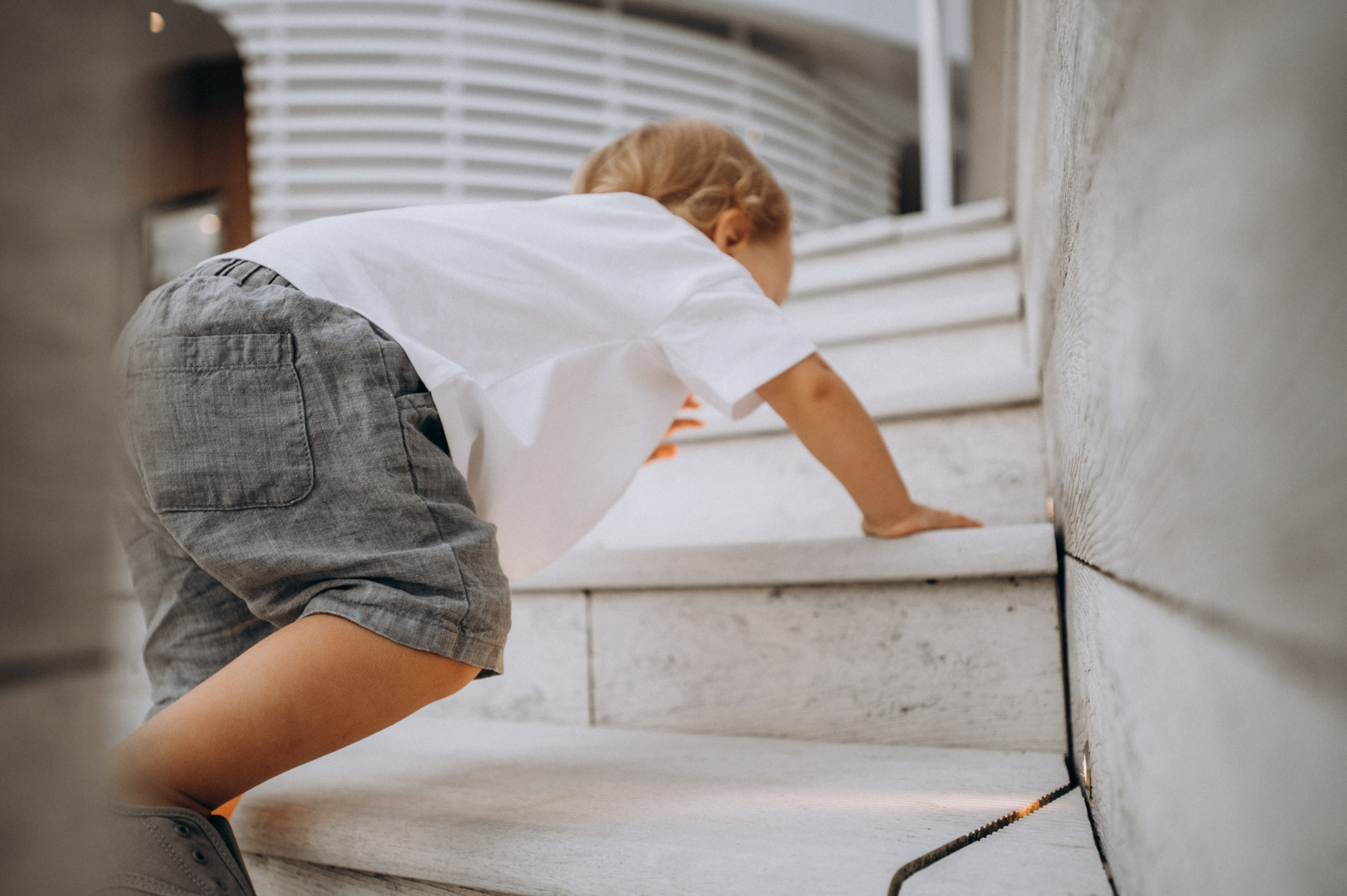 Моня. Фотограф Милка Татьяна