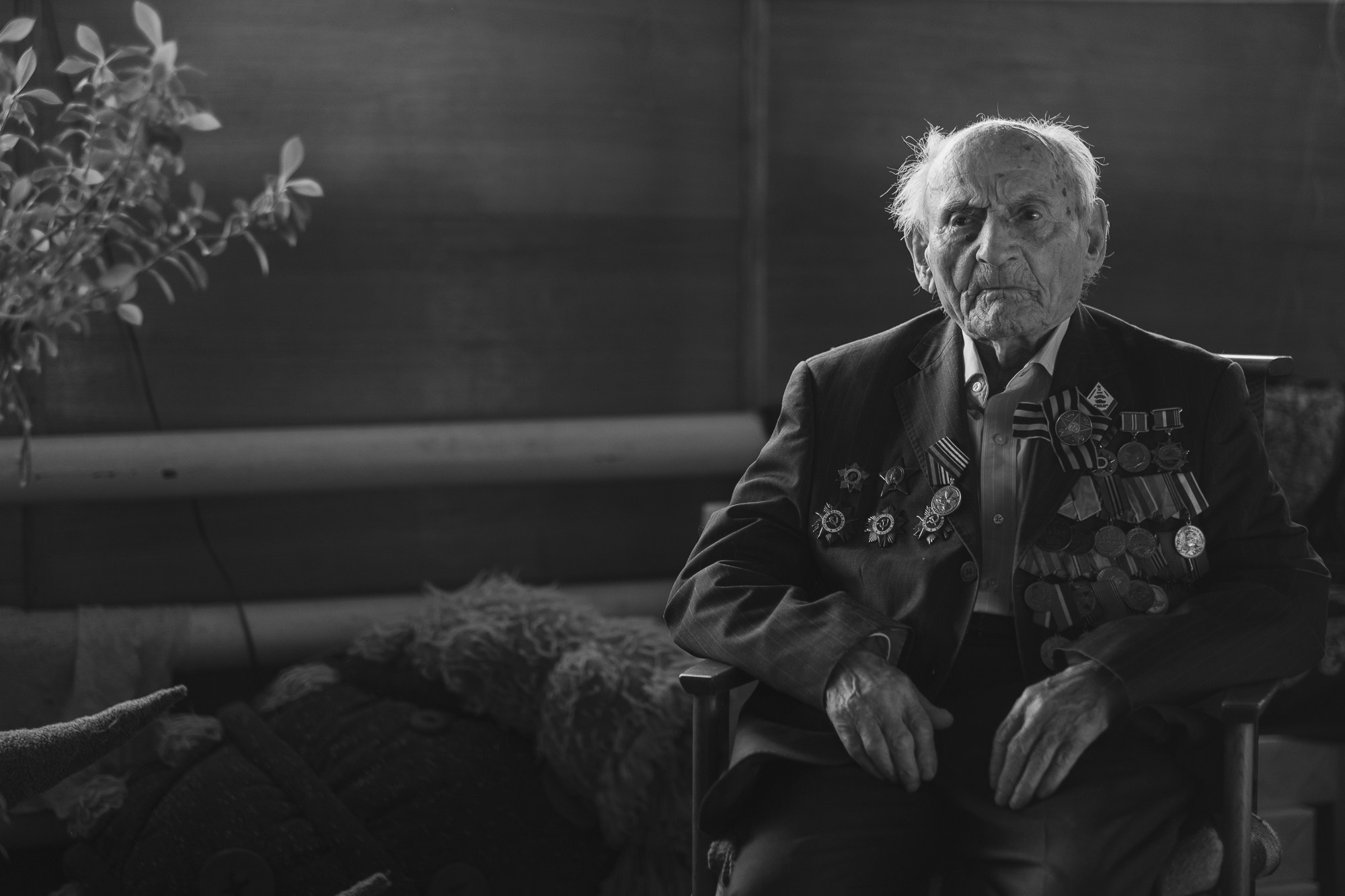 Портреты и истории