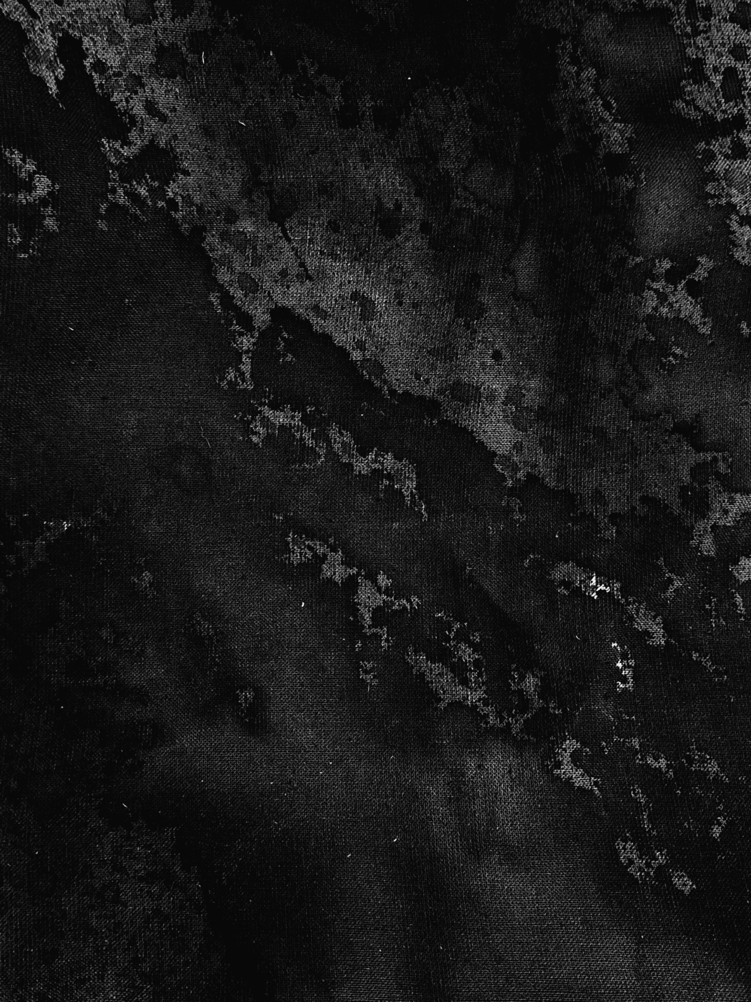 ㅤㅤ. Анна Мильч