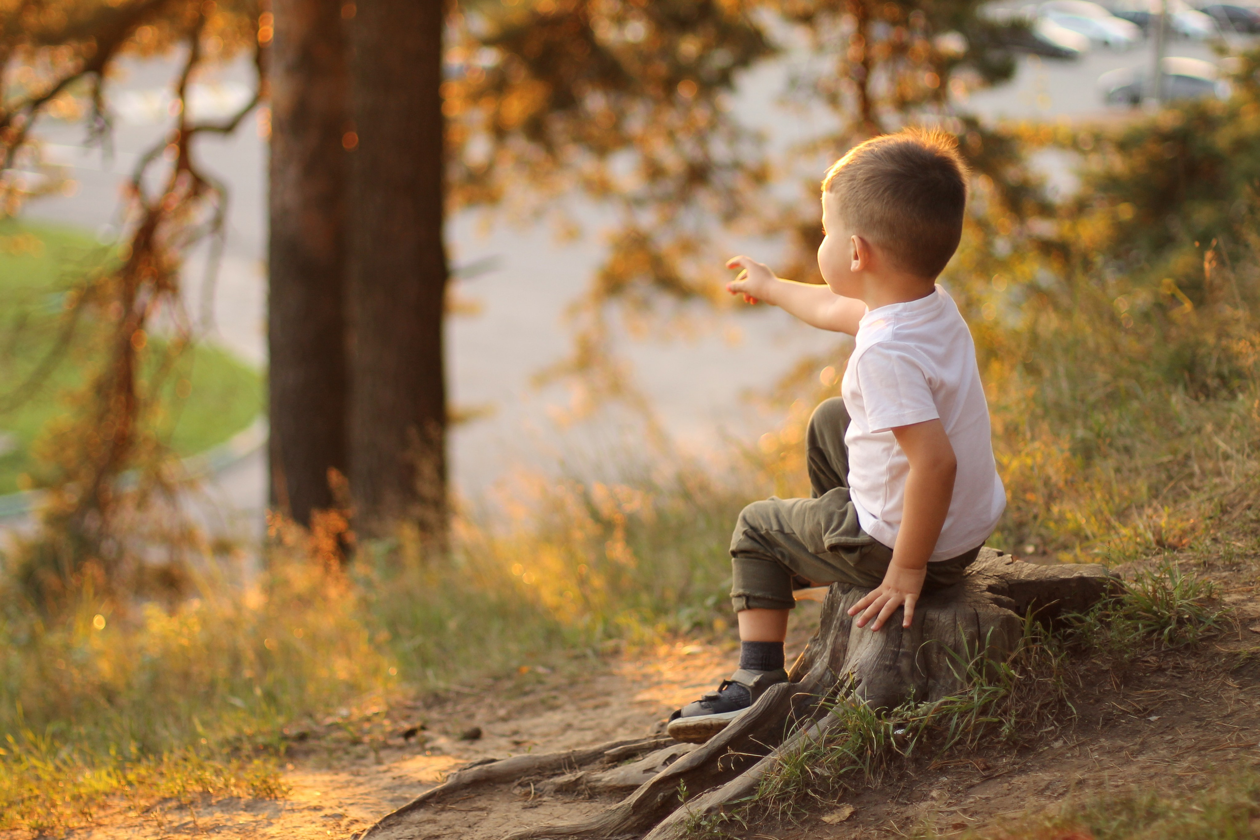 фотография мальчика на закате, мальчик показывает пальчиком, мальчик сидит на пеньке, фотосессия ребенка на природе