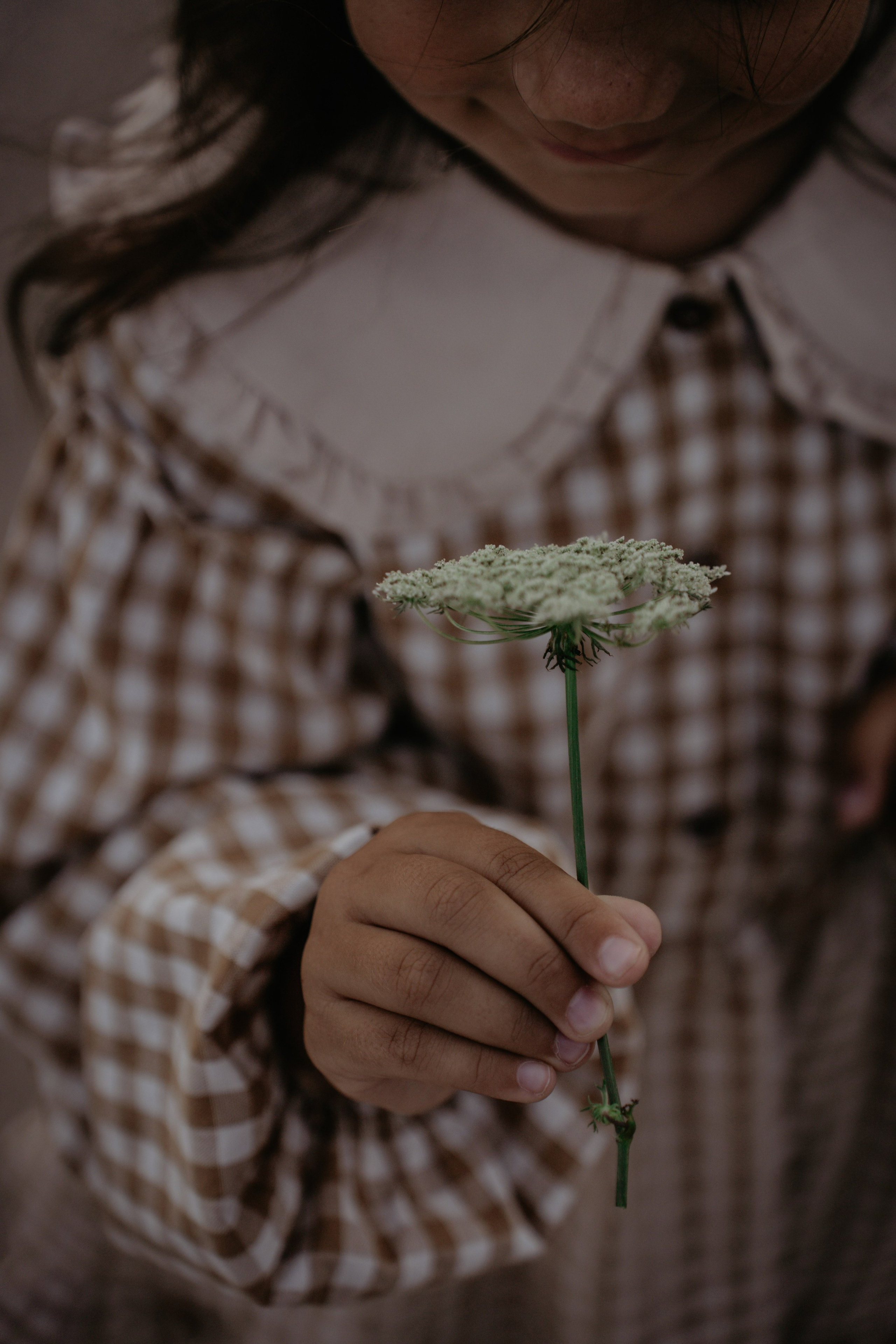 Анонс Массандровский дворец. Фотограф и Видеограф Севастополь Крым