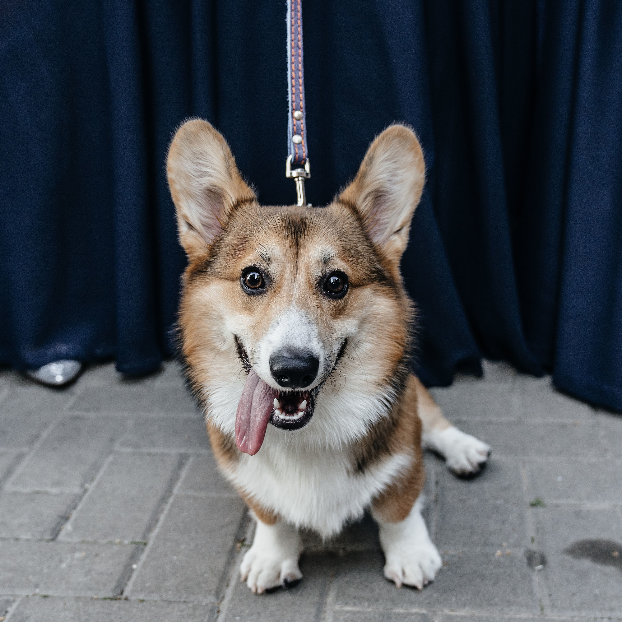 Slava & Natali. Фотограф Ян Сылка