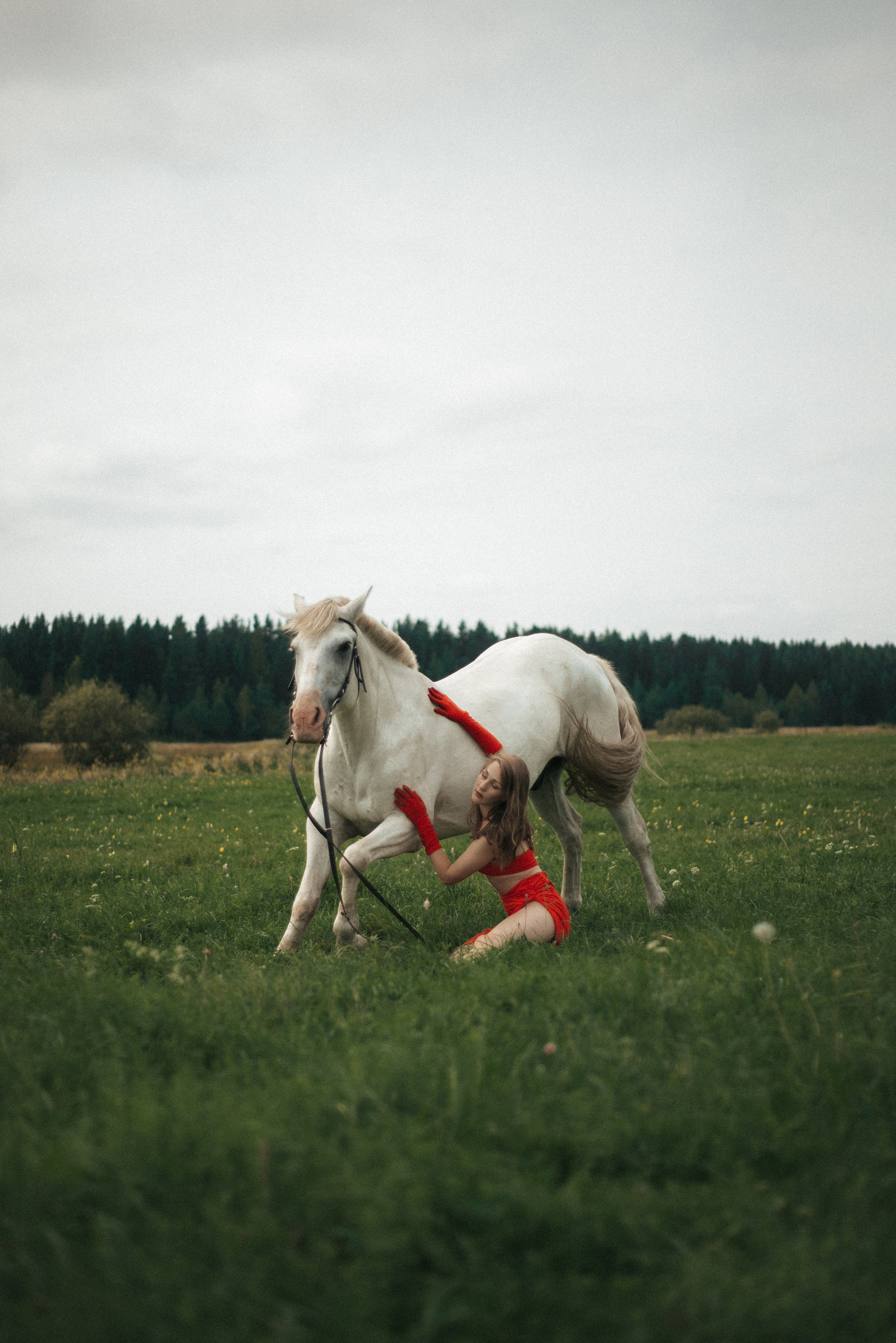 Horse. Фотограф