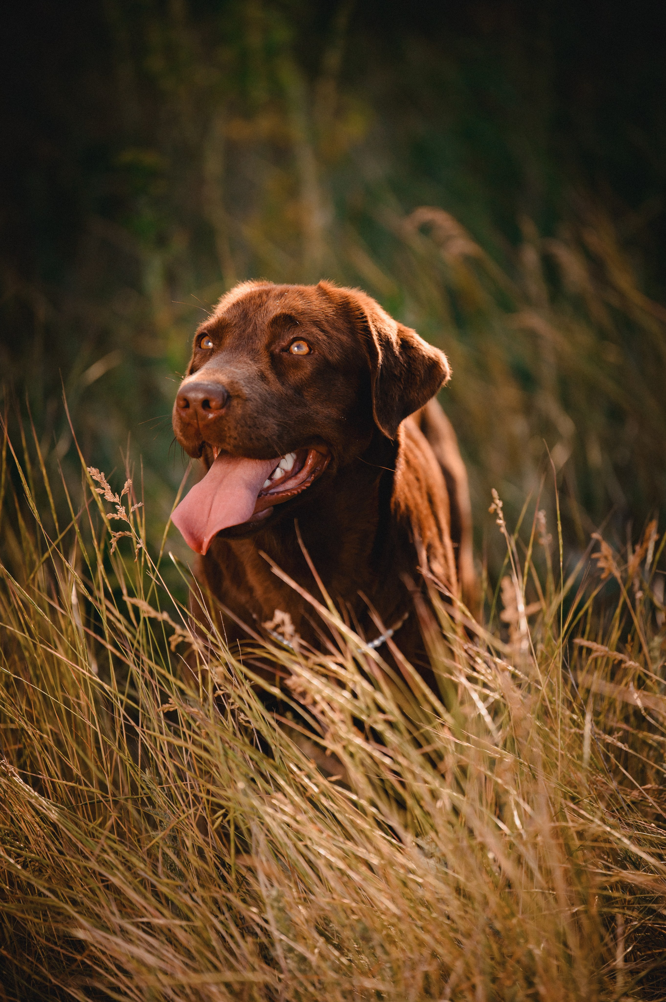 Анечка и Дэя. Фотограф в Ростове —на — Дону