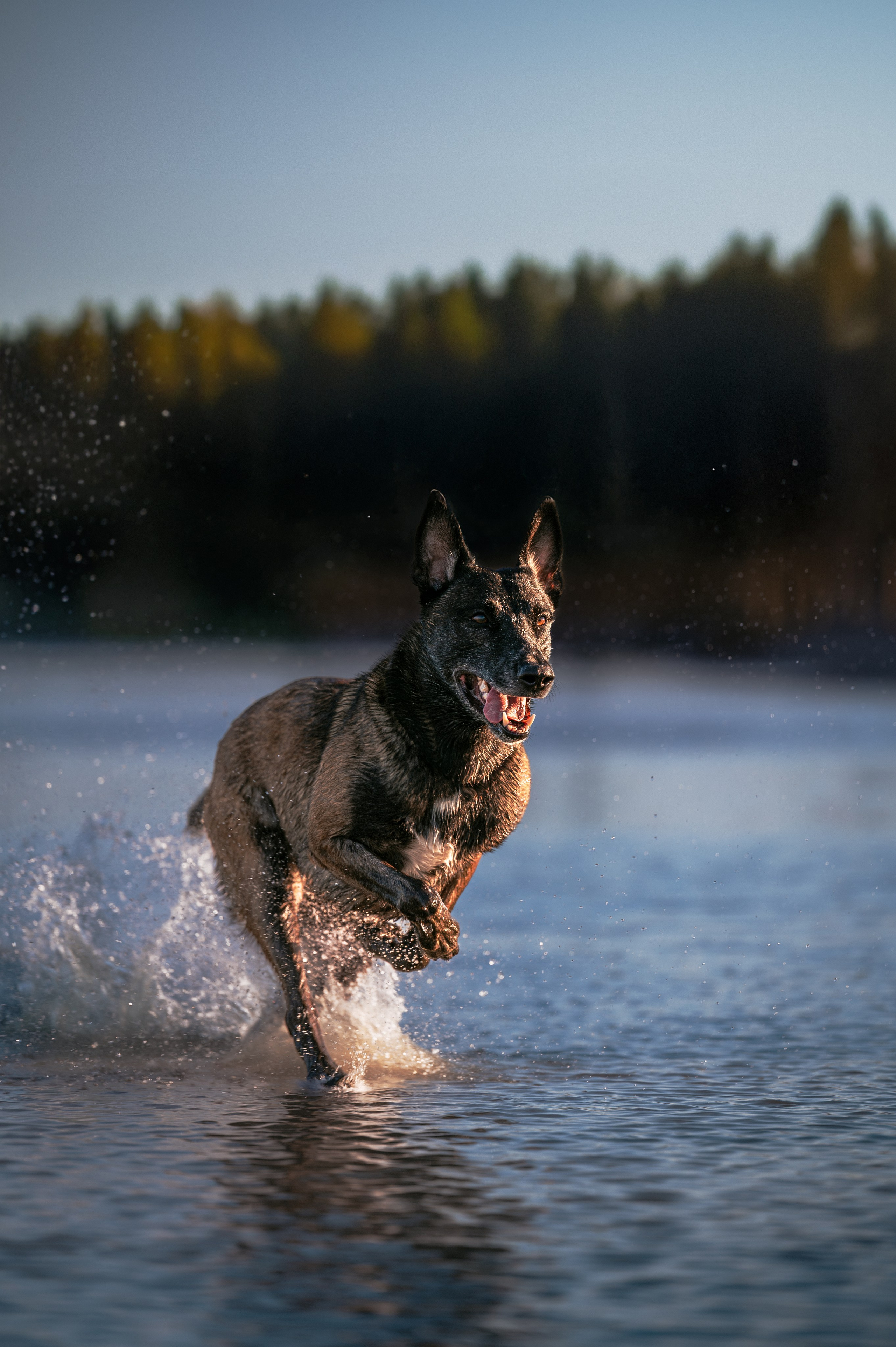 Вечер на заливе. Фотограф в Ростове —на — Дону