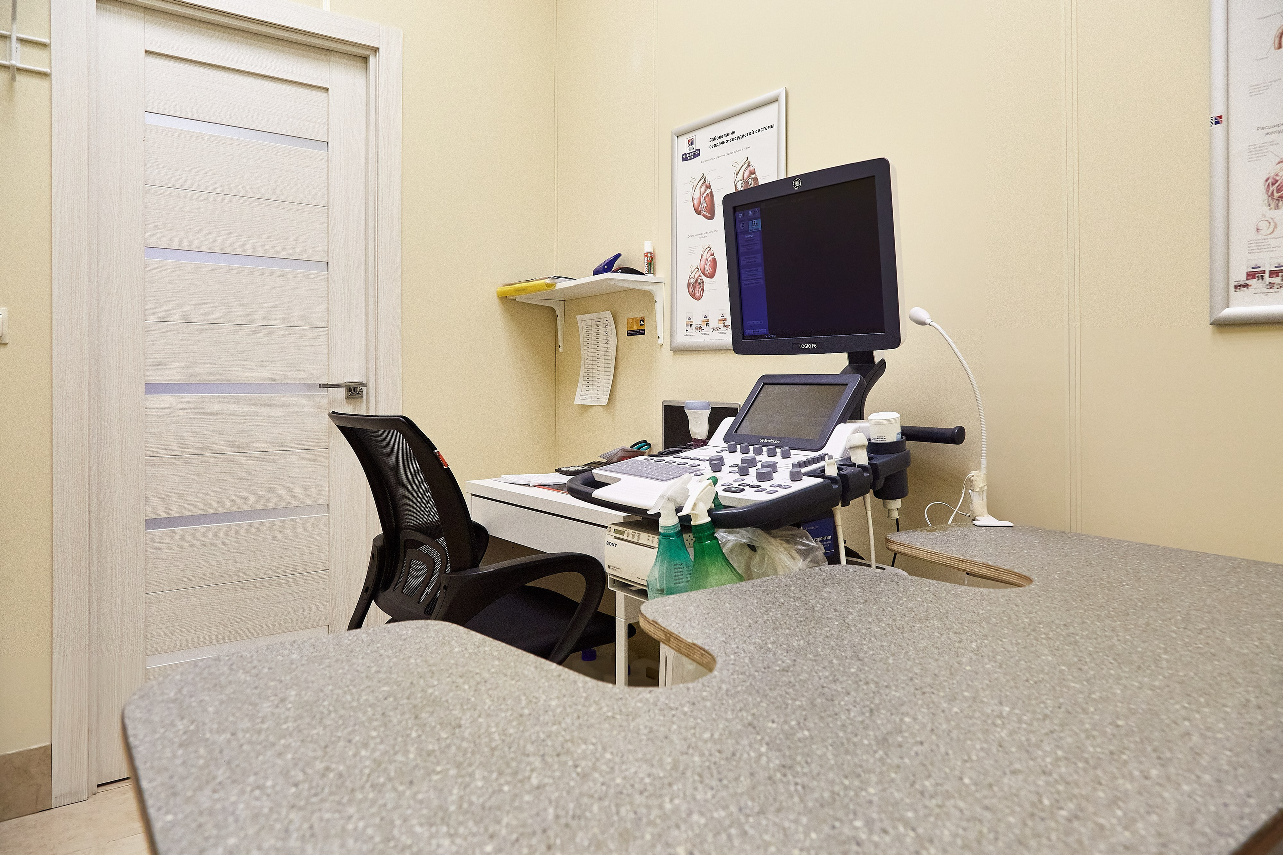 Ветеринарная клиника Косточка на Дальневосточном пр. Фотограф Анастасия Леонтьева Санкт-Петербург