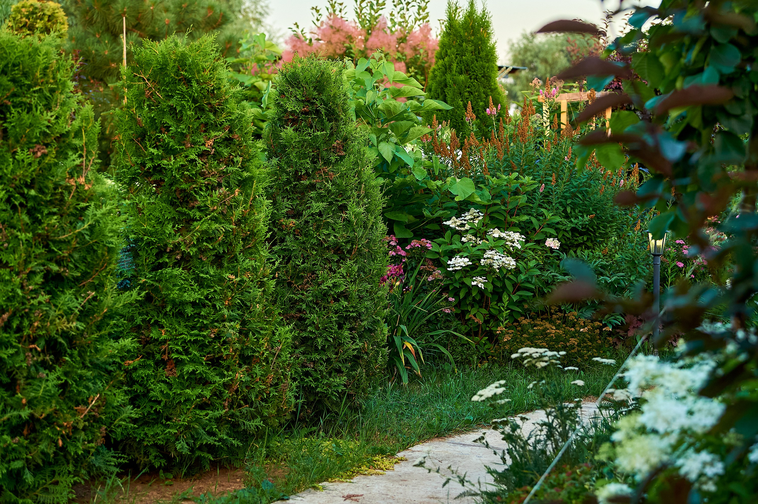 Фотосъёмка ландшафтных рабт