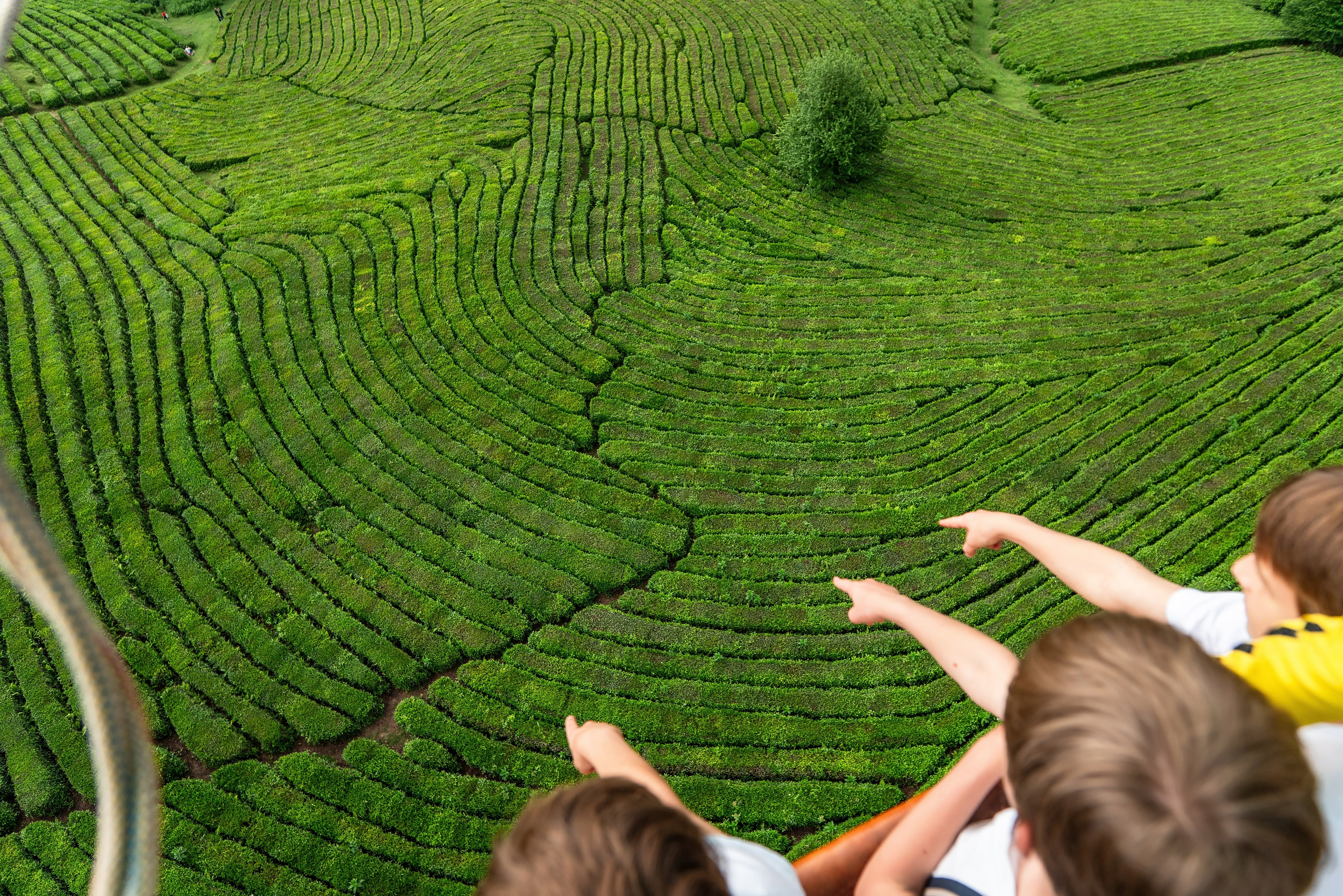 Фотограф на праздник Сочи. Фотограф Сочи