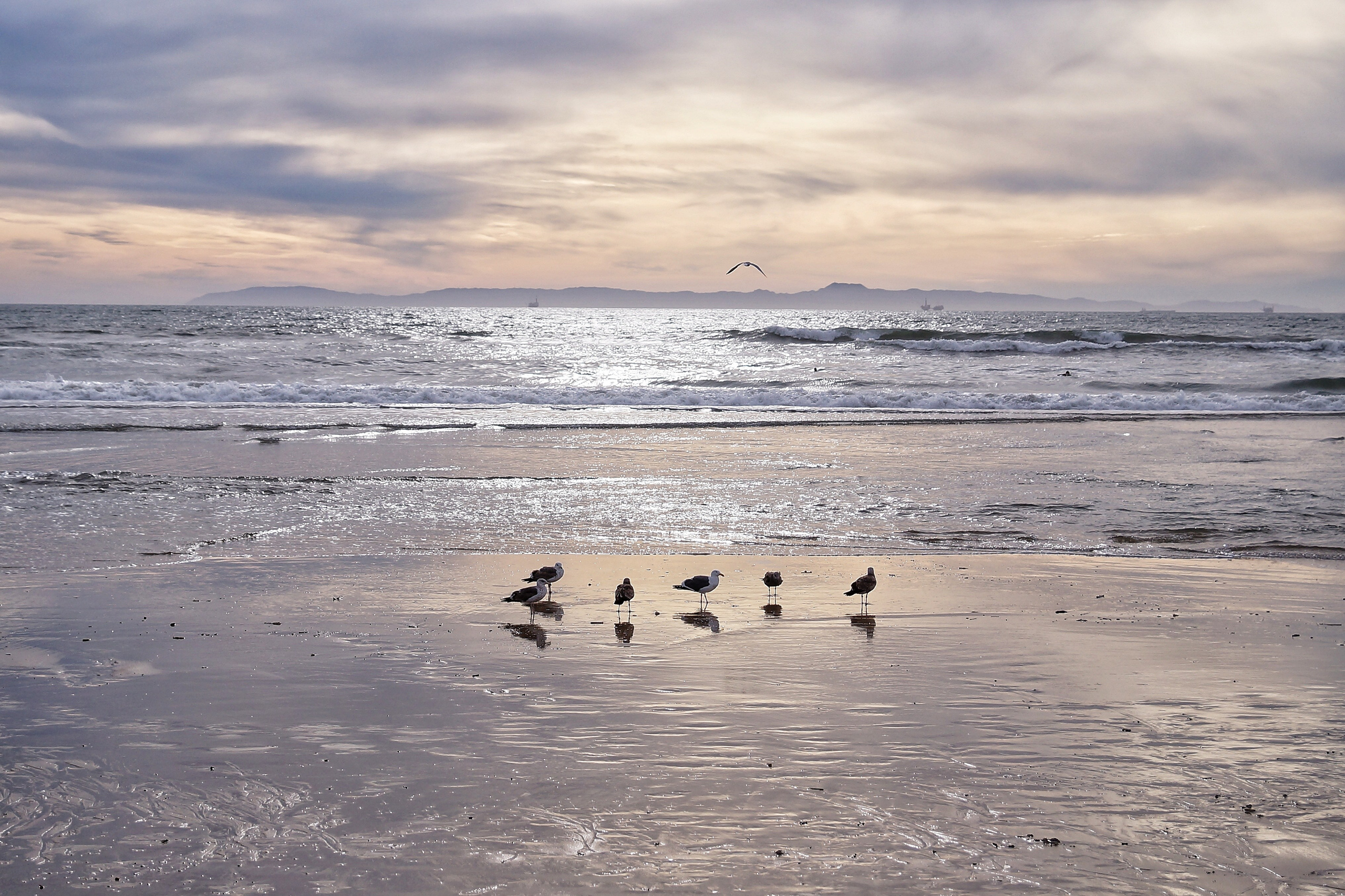 California Dreaming. Мои фото