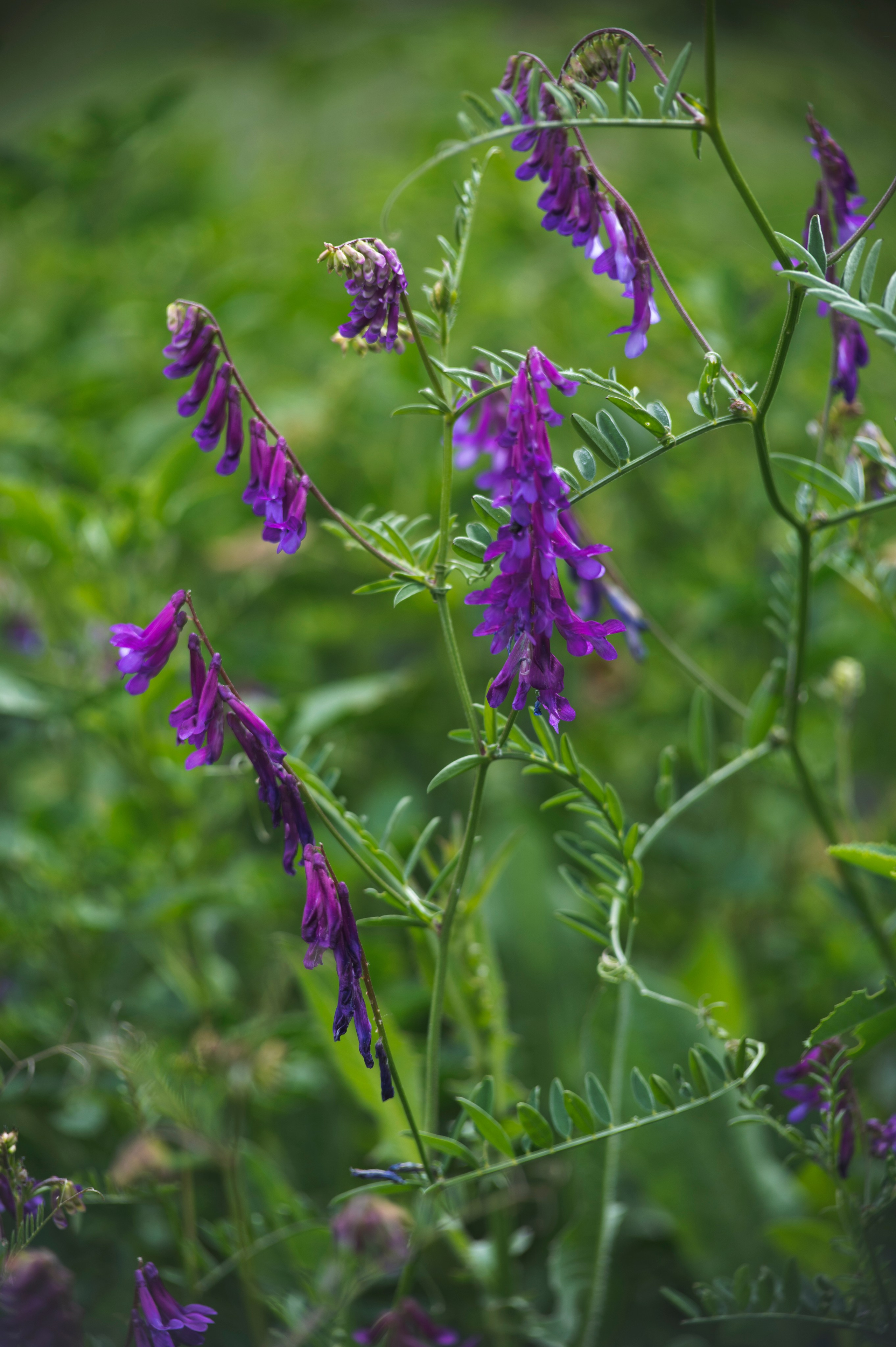 Крым май 2022. Фотограф Роман Адлер