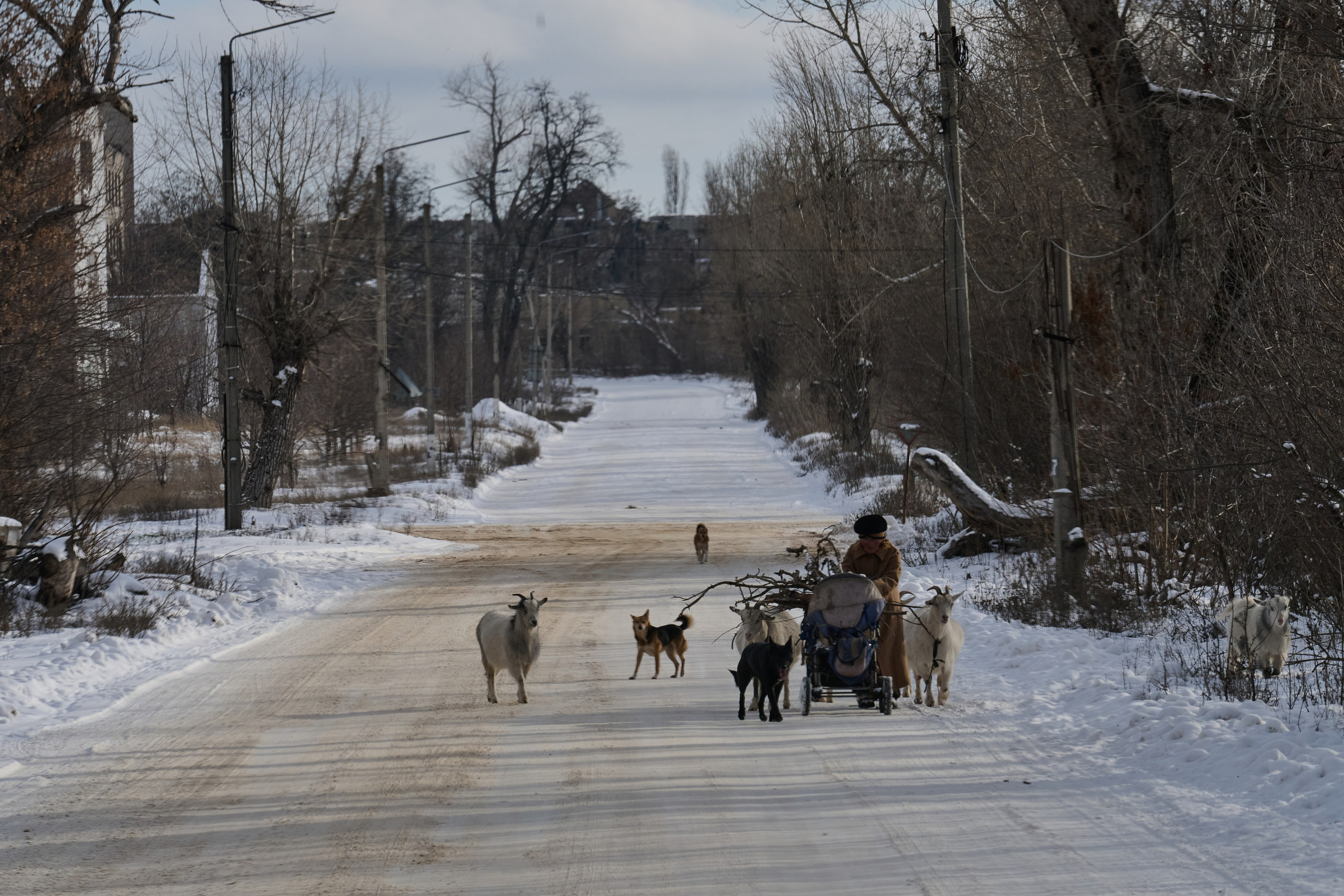 Рубежное. Январь 2026. Фотограф Роман Адлер