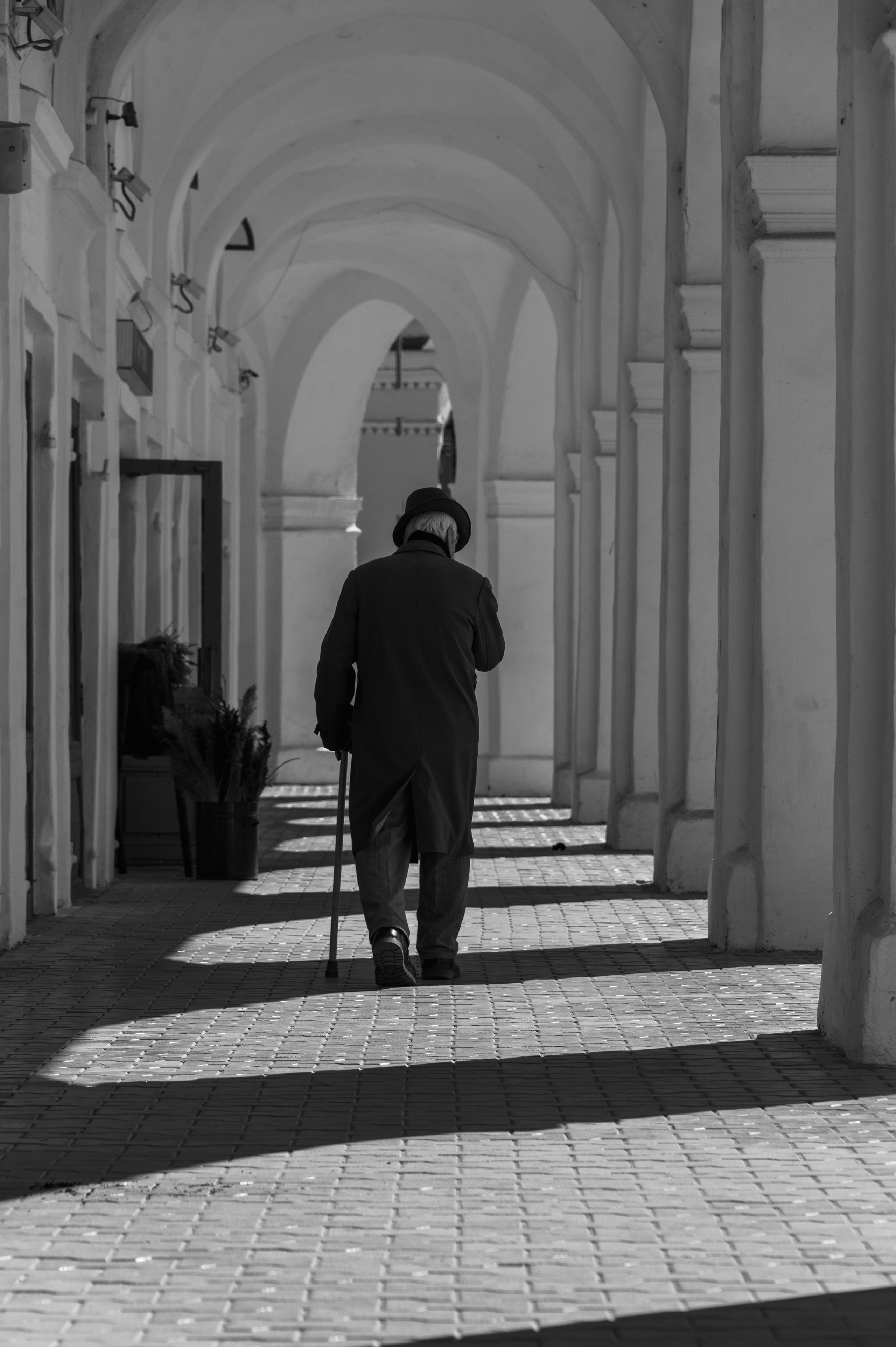 Кострома. Май 2023. Фотограф Роман Адлер