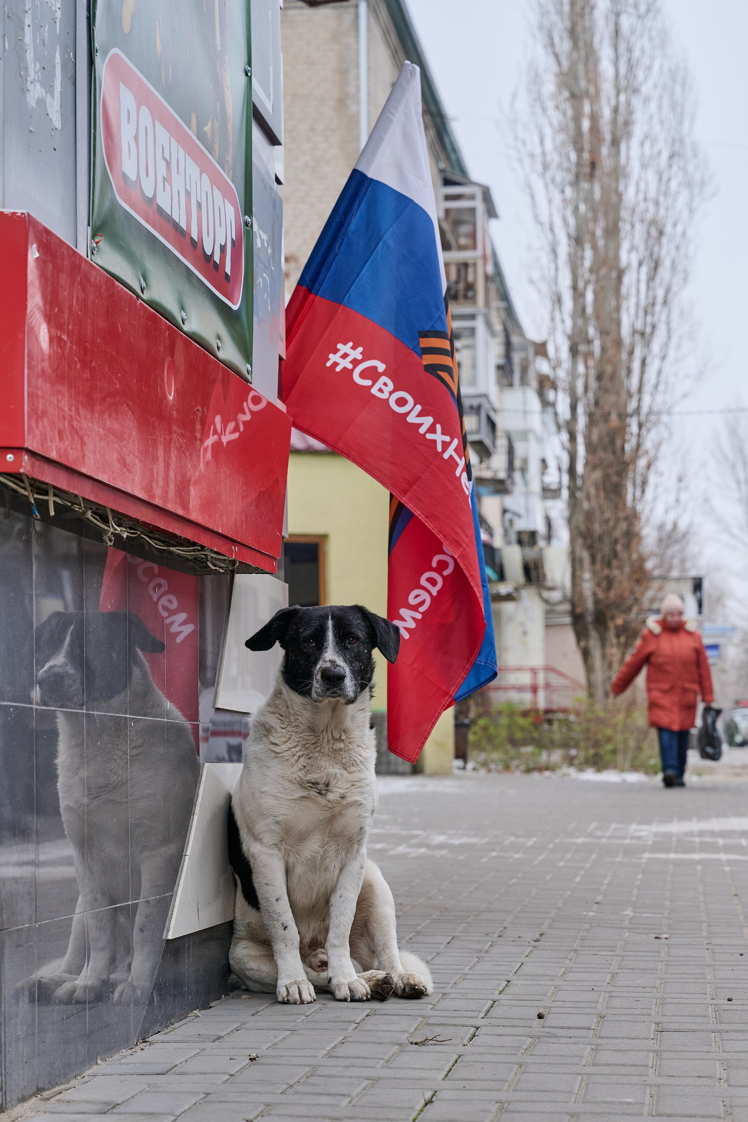 Рубежное. Декабрь 2024. Фотограф Роман Адлер
