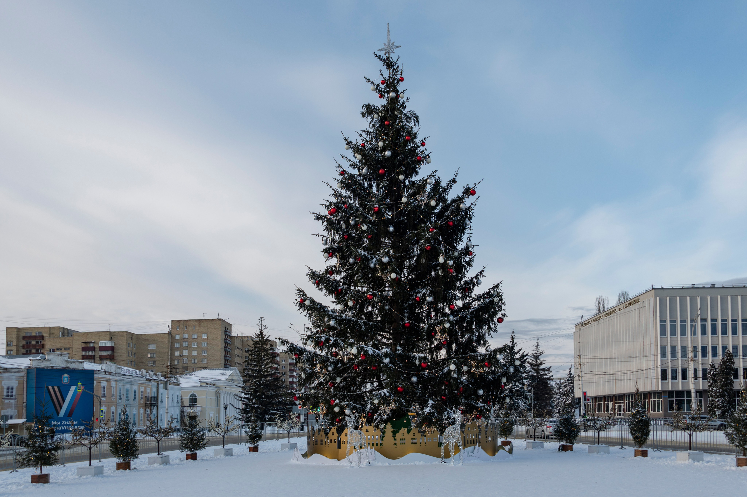 Январский Тамбов. 2024 год. Фотограф Роман Адлер