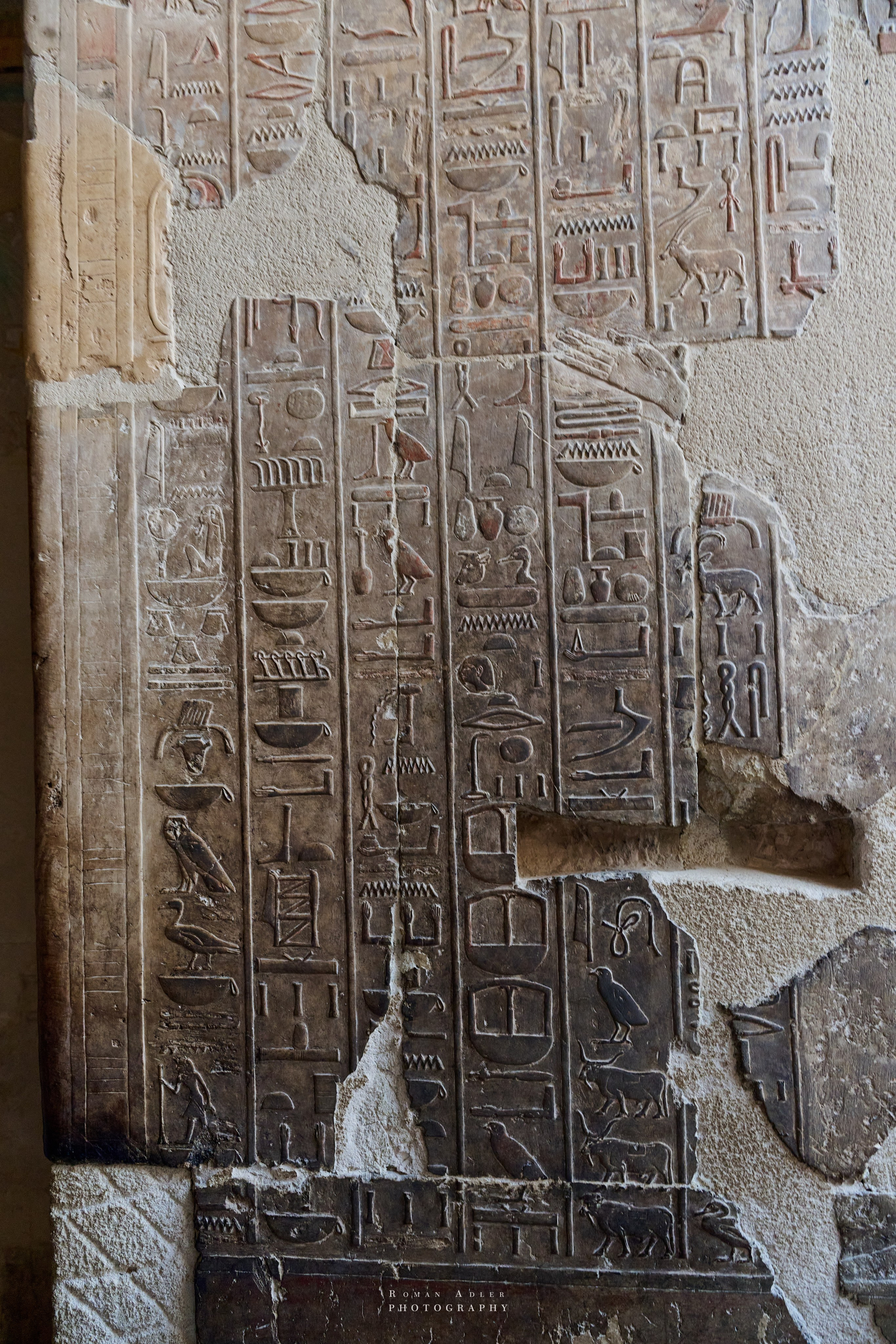Луксор. Февраль 2025. Фотограф Роман Адлер