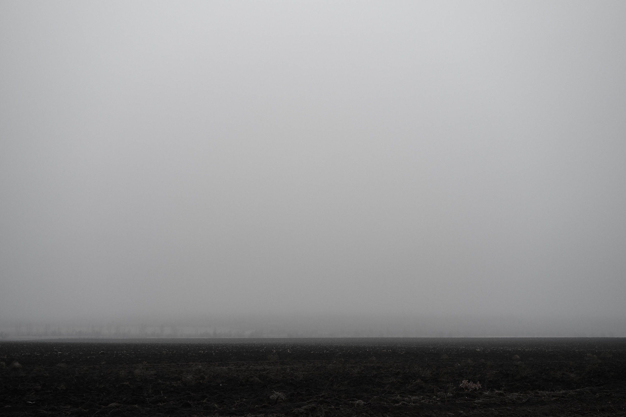 Дорога домой. Туман. Фотограф Роман Адлер