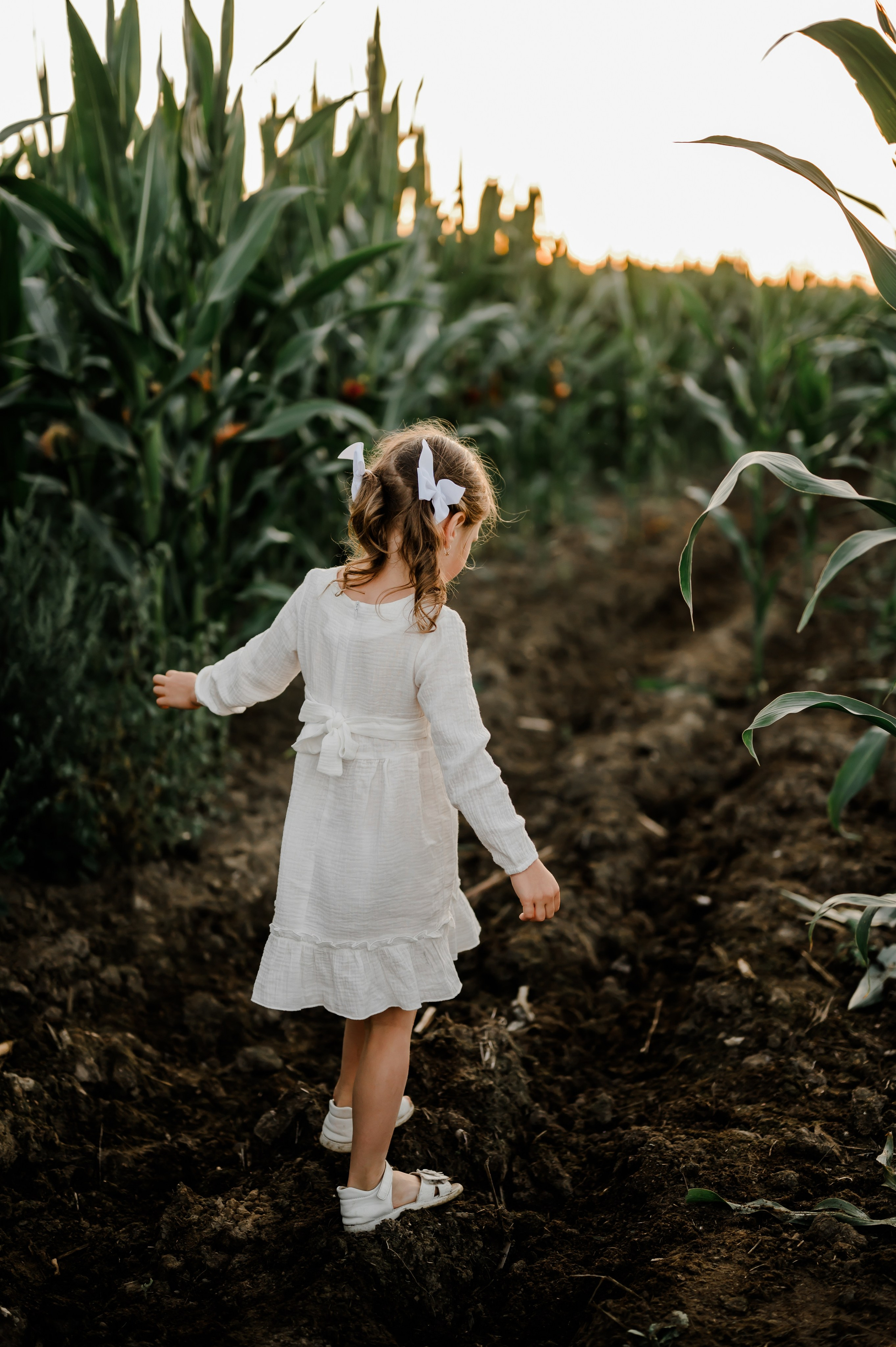 Кукуруза+сено, семейная фотосессия. Свадебный и семейный фотограф Евгения Кононова