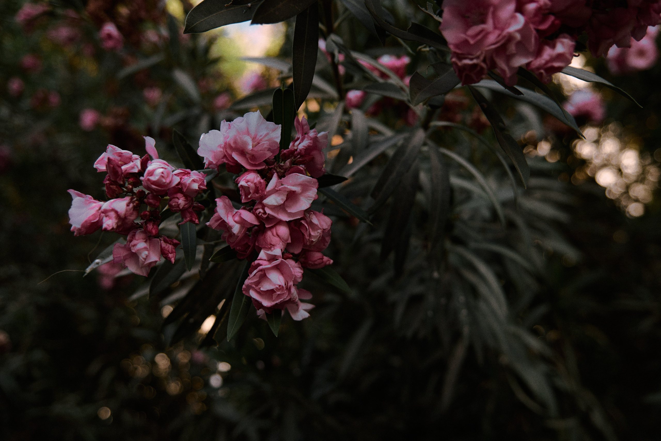 Улица горизонтальная. Jorgis — фотограф в Хургаде / обучение фотографии