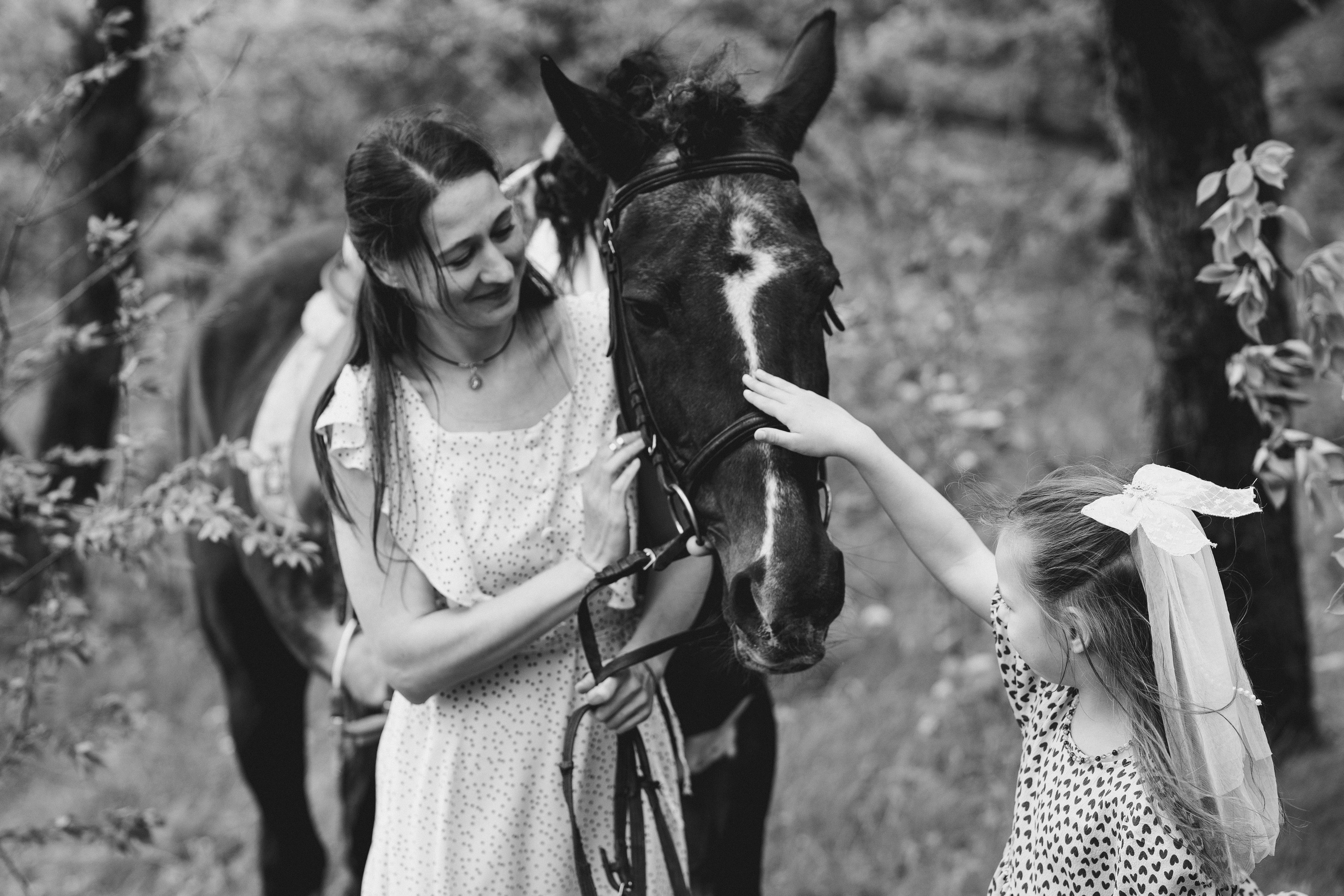 С лошадьми. Главная