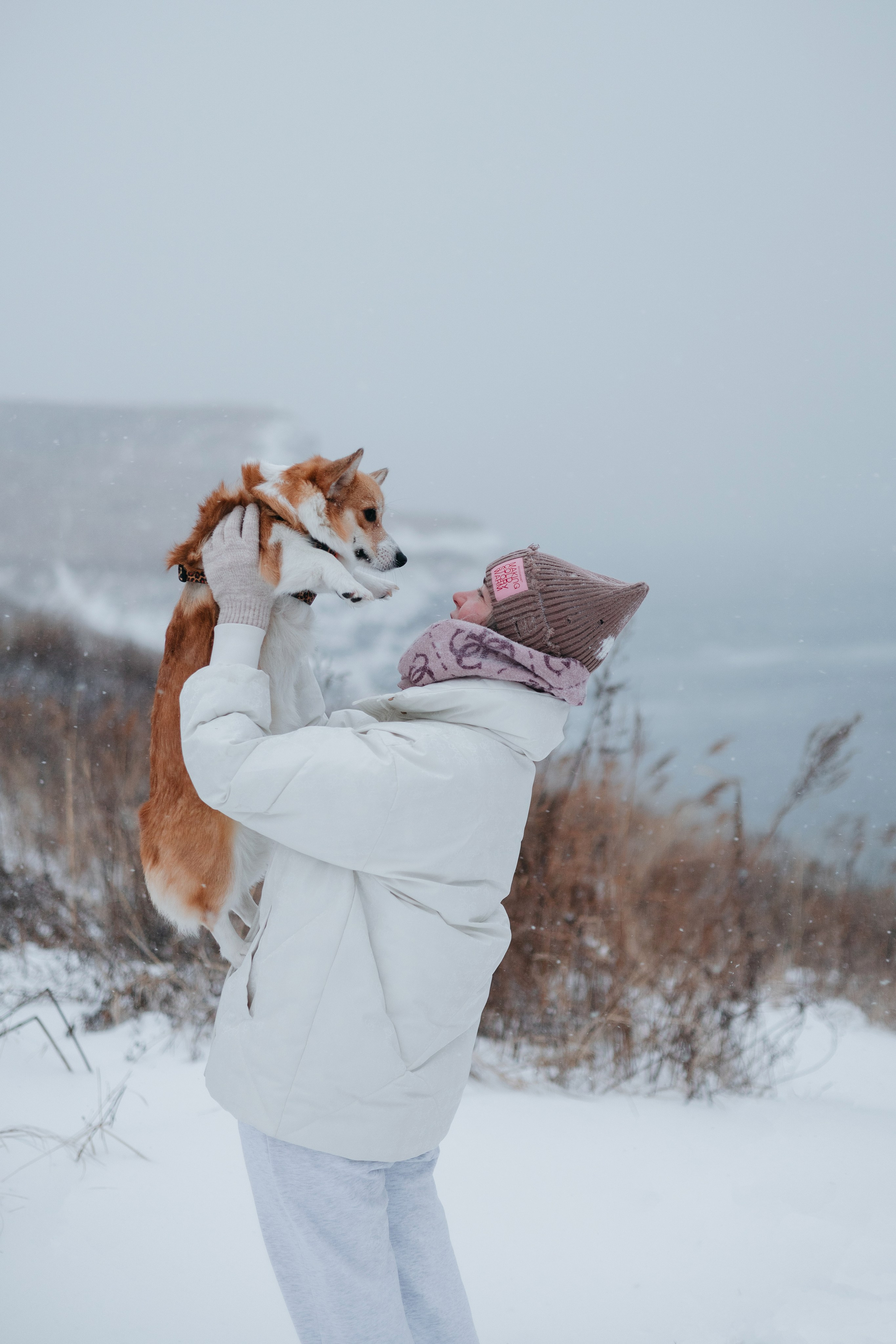Лена, Лиза и Мия. Фотограф — анималист Владивосток, Алина