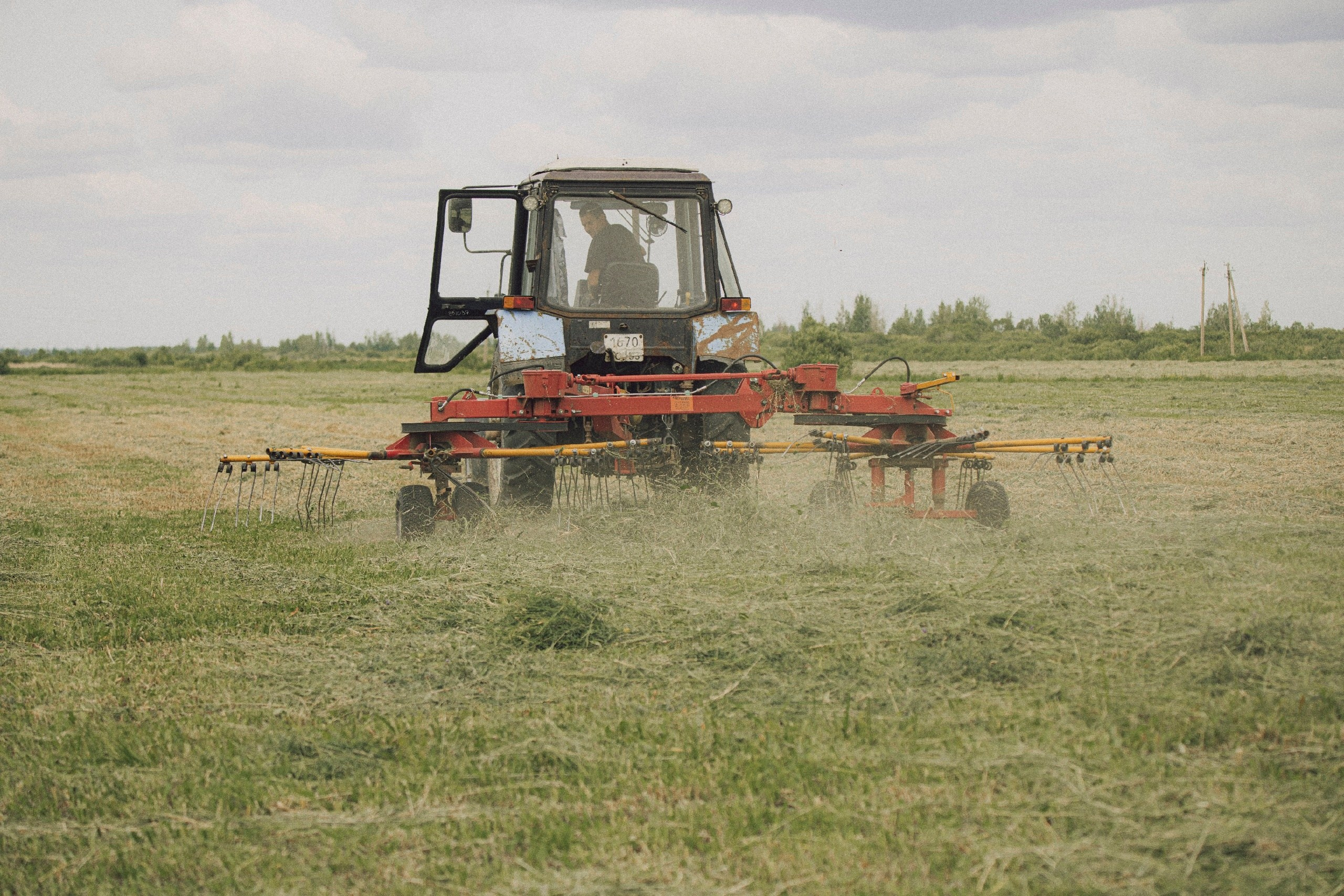 Цветные фотографии. Фотографии Лены Соколовой