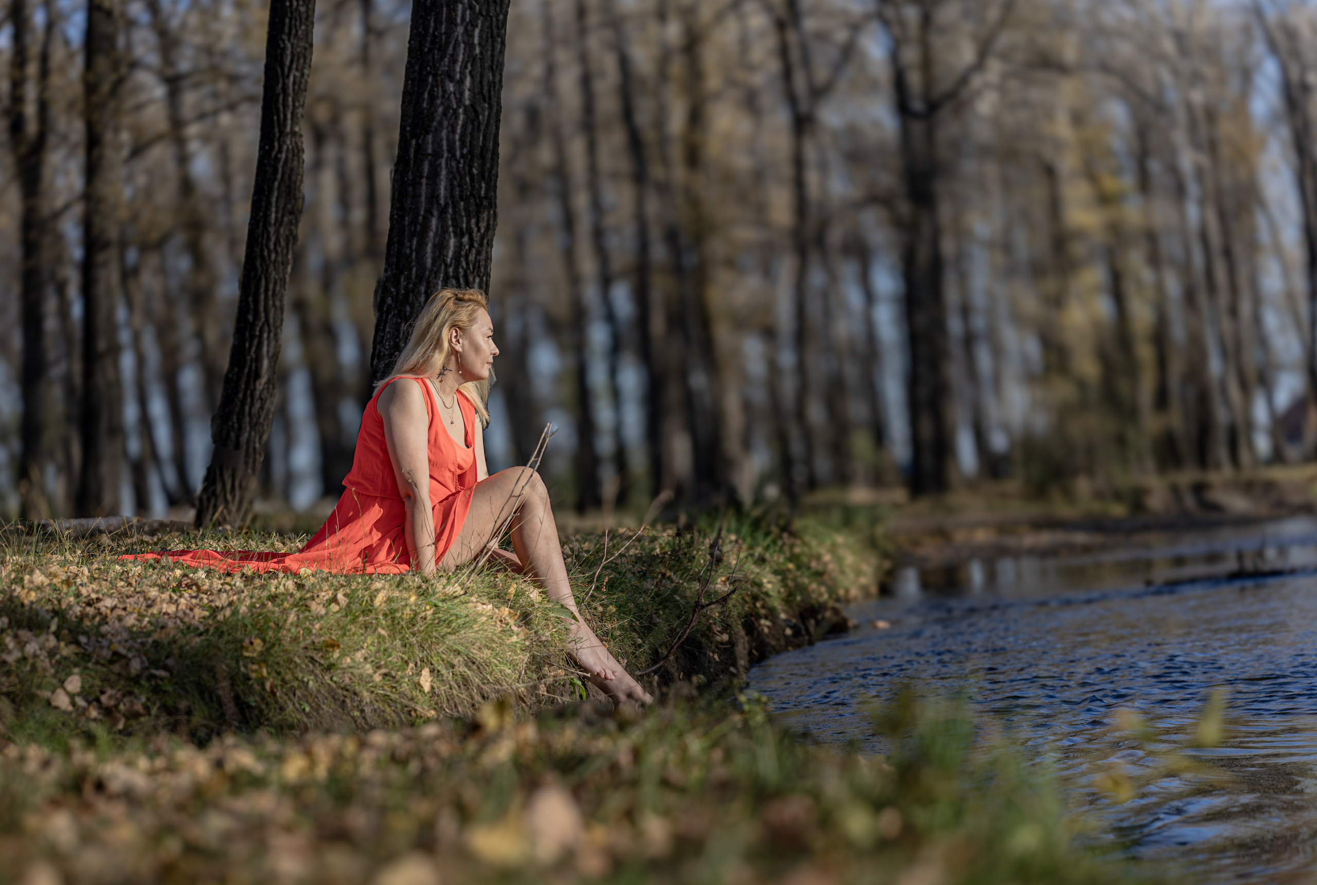 Альбина (2025)