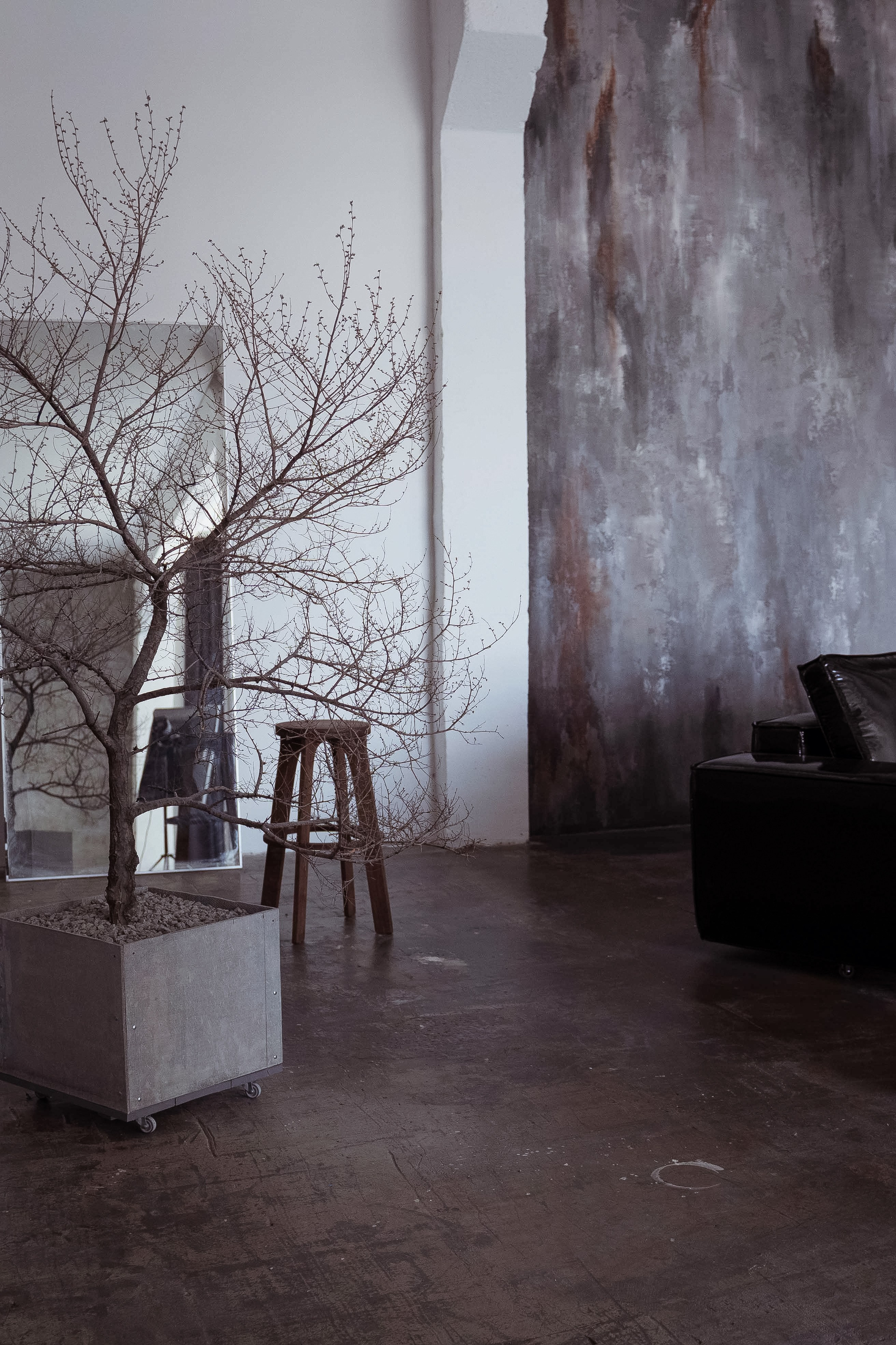 Грэй (студия Спутник). Фотограф г. Хабаровск. Семейные и индивидуальные съёмки