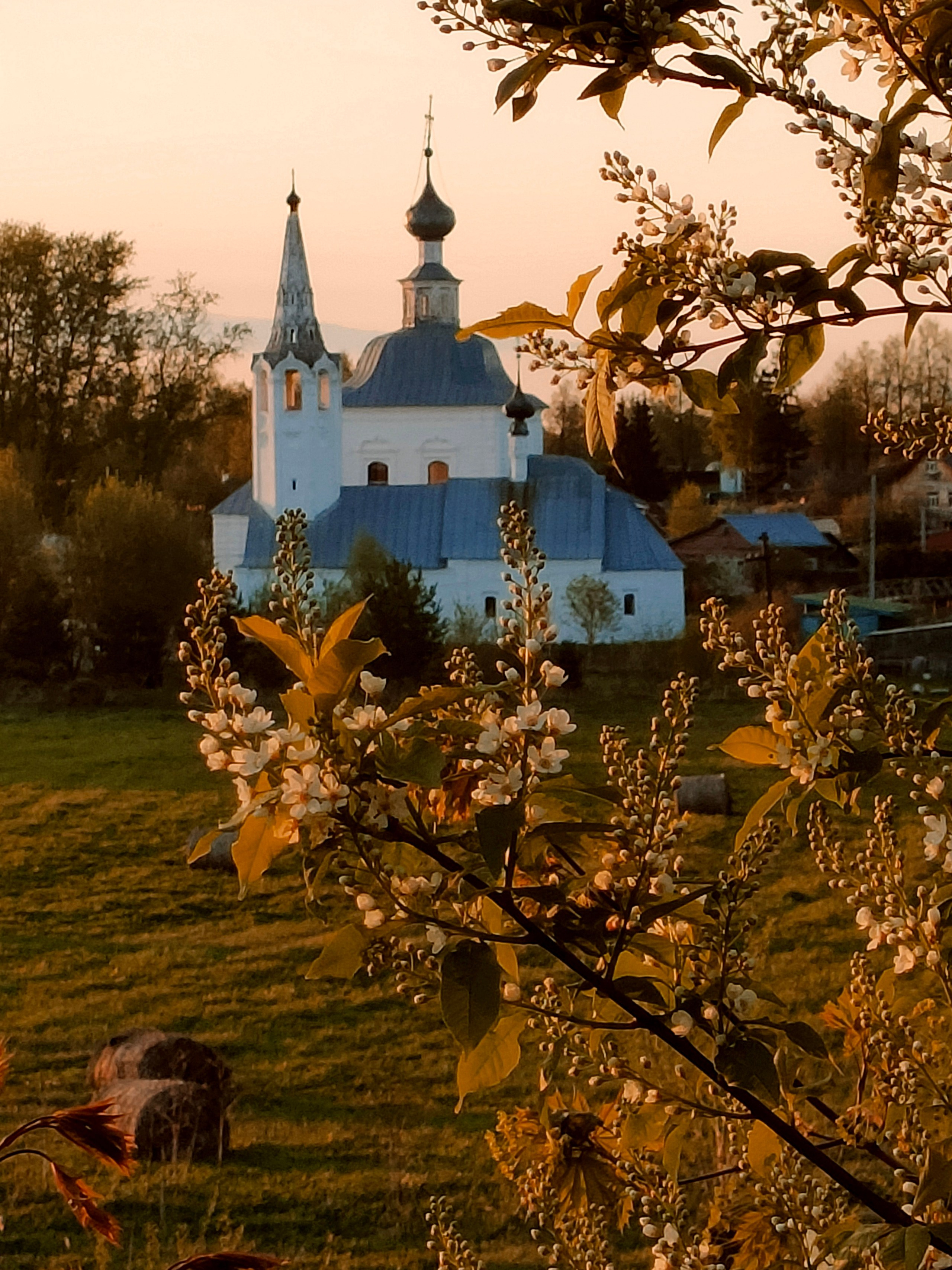 Фото на телефон. Фотошкола и фотокурсы в Абакане