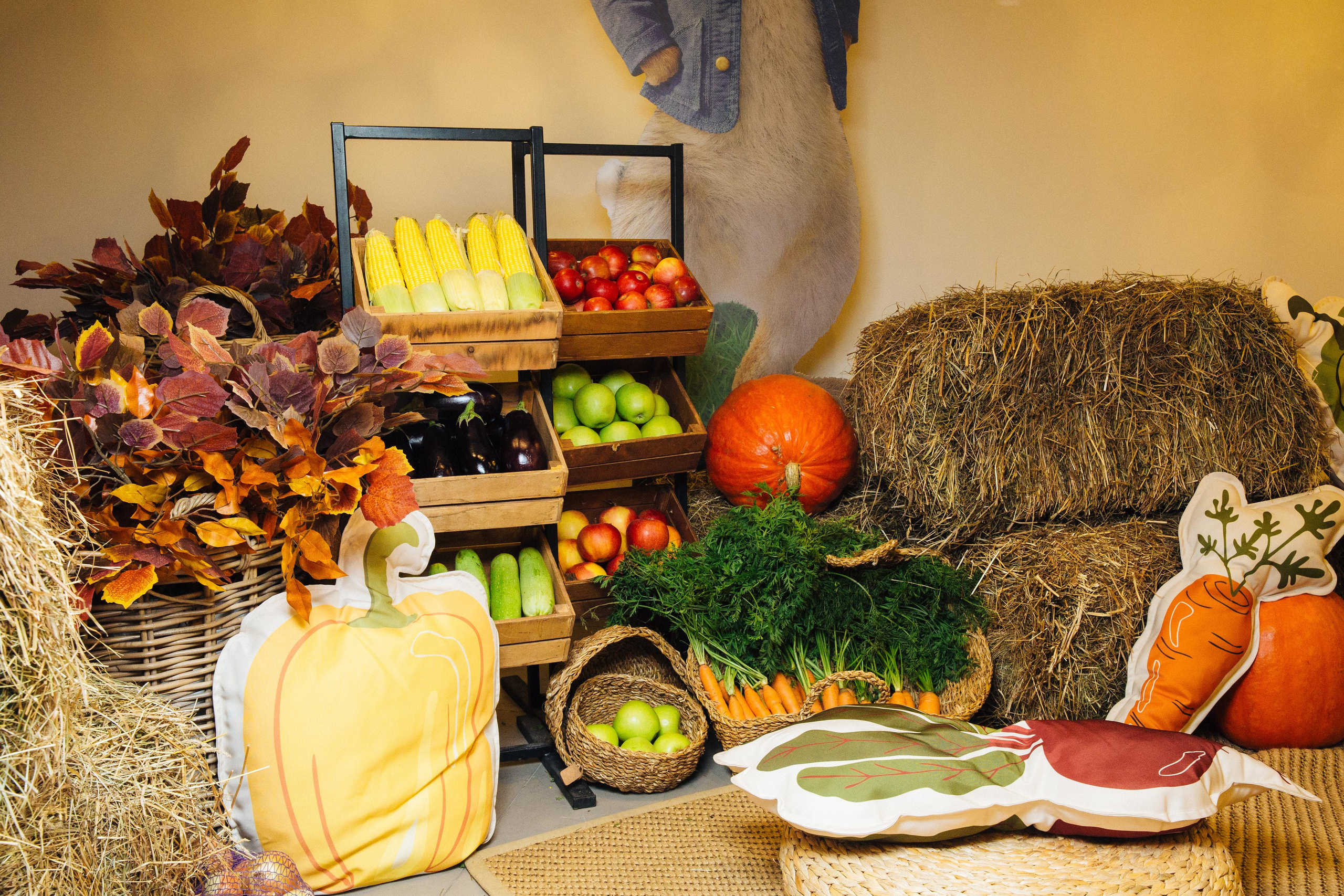 День рождение Давида в Ангелах Плющенко. Александр Чернин. Семейный и событийный фотограф