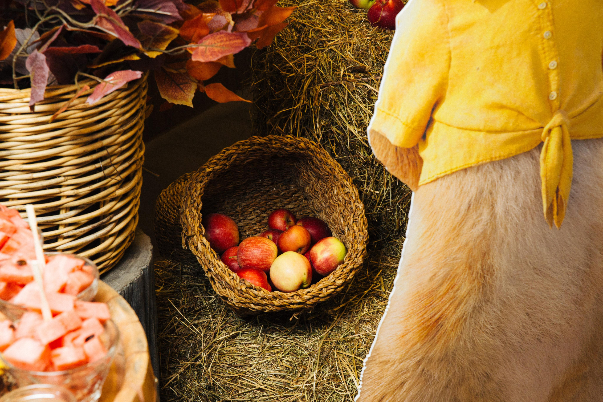 День рождение Давида в Ангелах Плющенко. Александр Чернин. Семейный и событийный фотограф