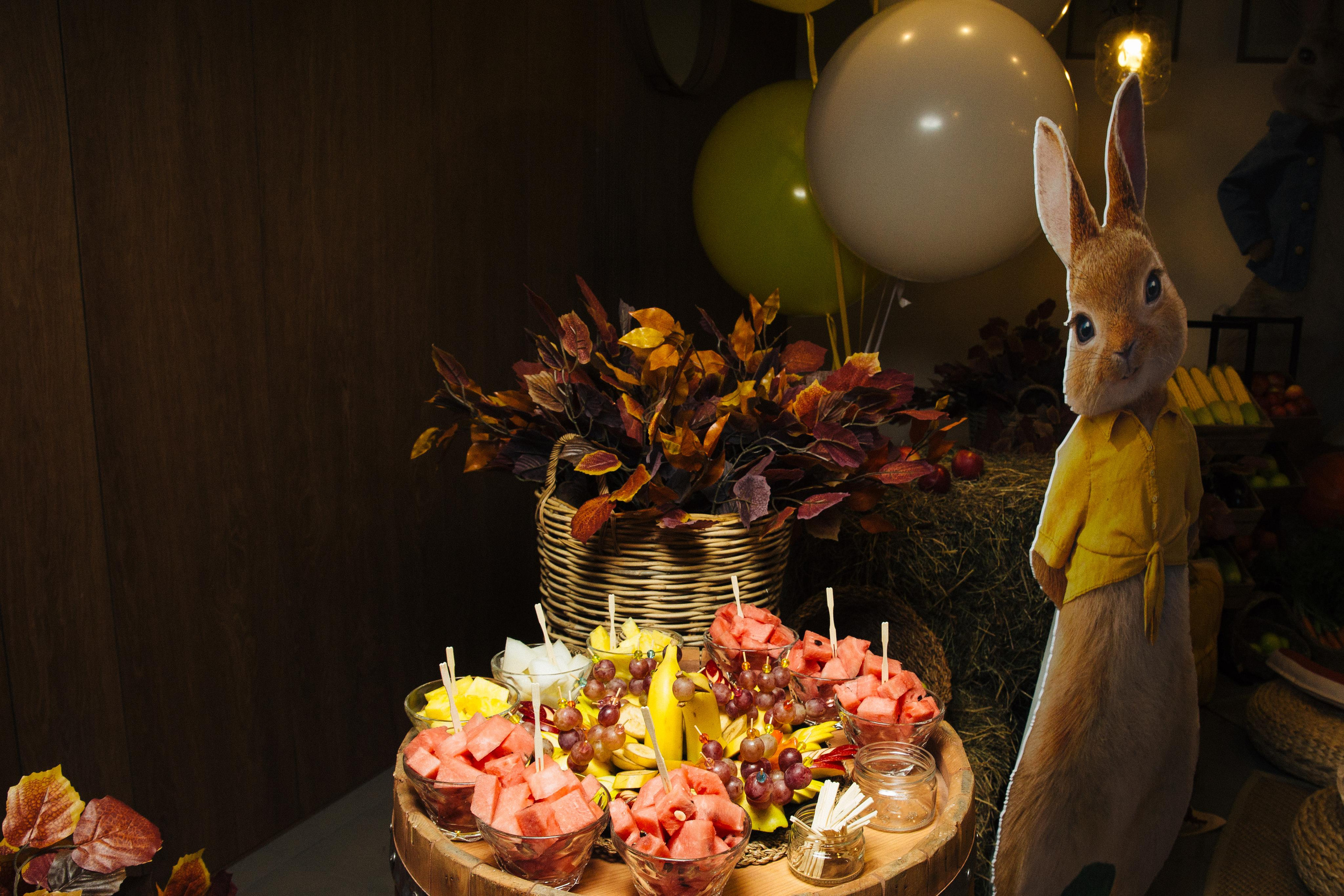 День рождение Давида в Ангелах Плющенко. Александр Чернин. Семейный и событийный фотограф