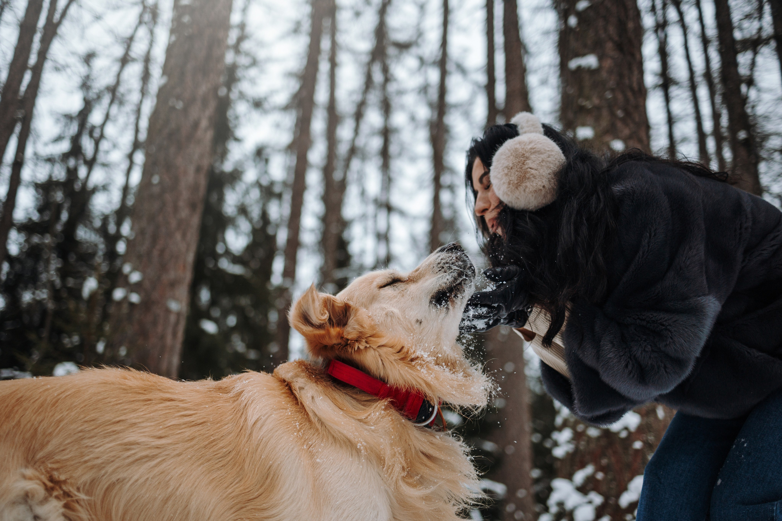 Вика и Лёва. Фотограф — Анималист | Санкт-Петербург