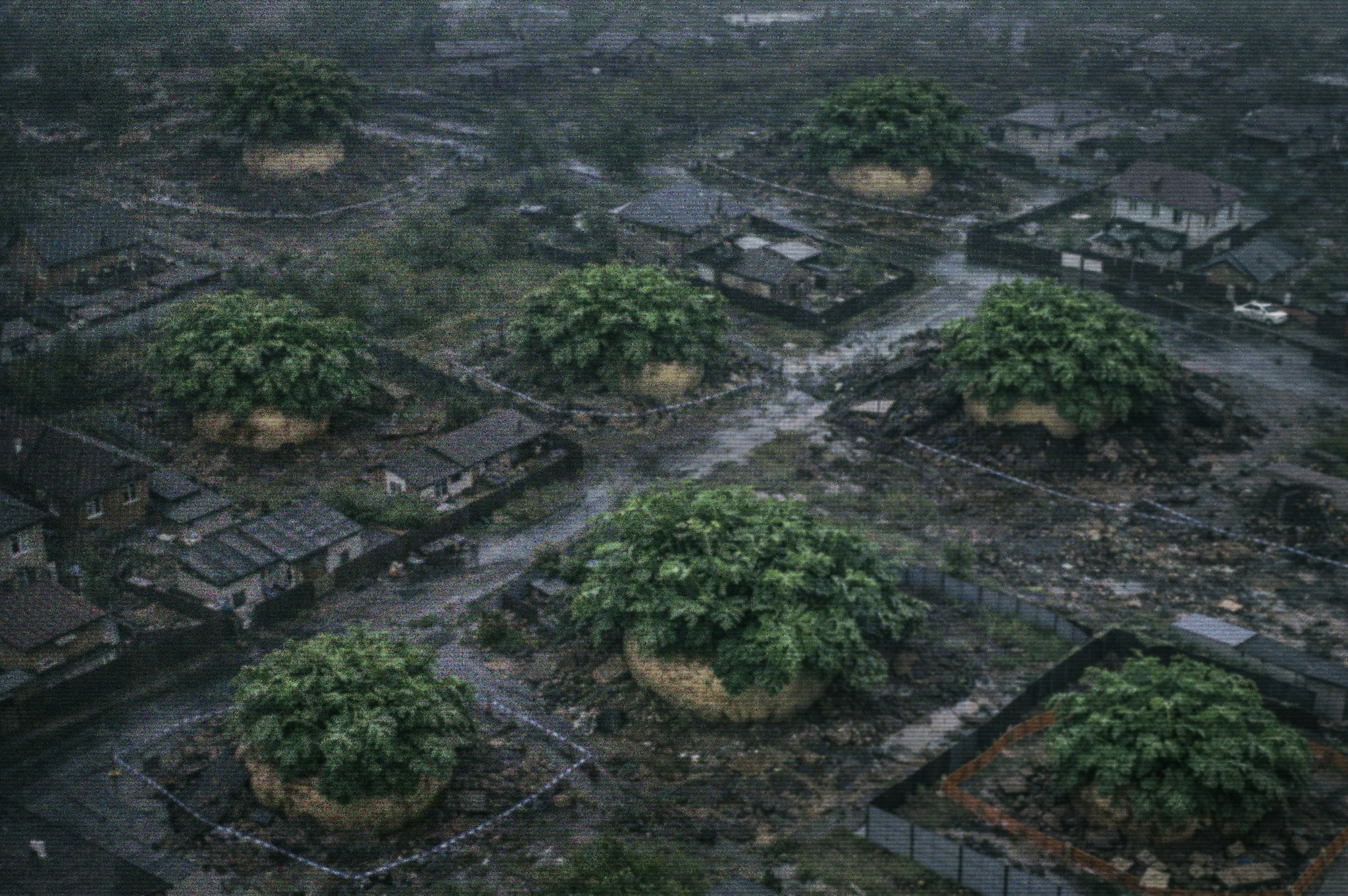 Про репку. Андрей Иванов. фотографические практики