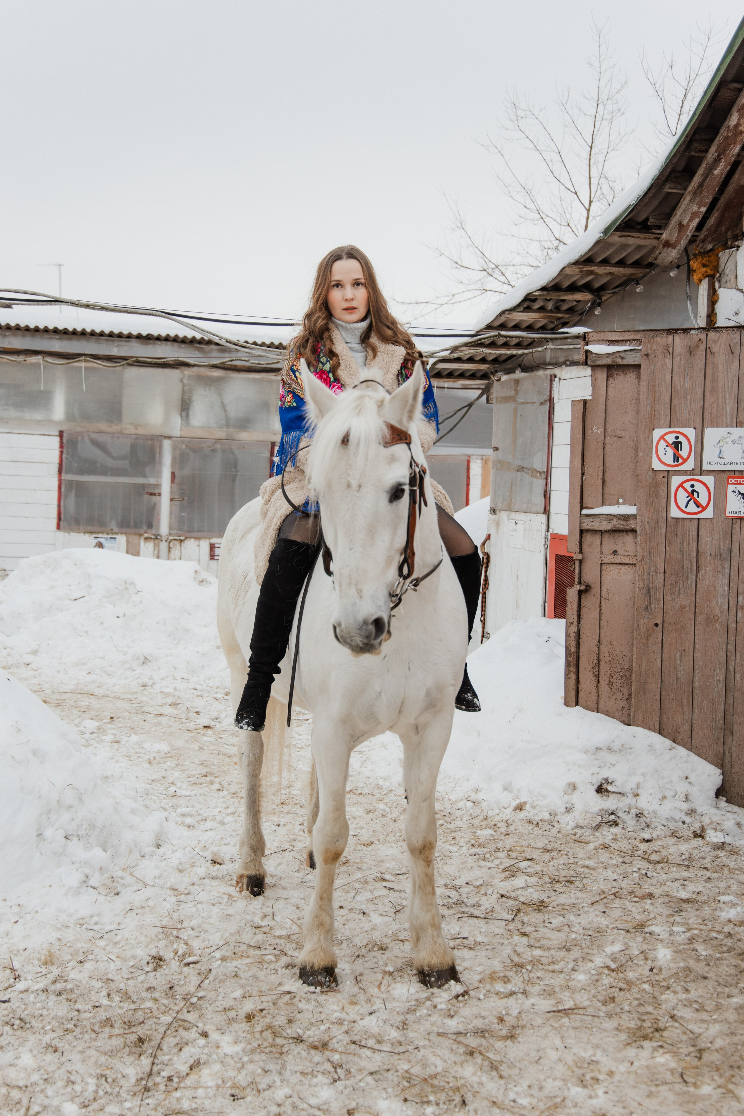 Фотосессия с Конем на Конном дворе. Свадебный фотограф в городе Подольск МО и Москва Крылова Ирина