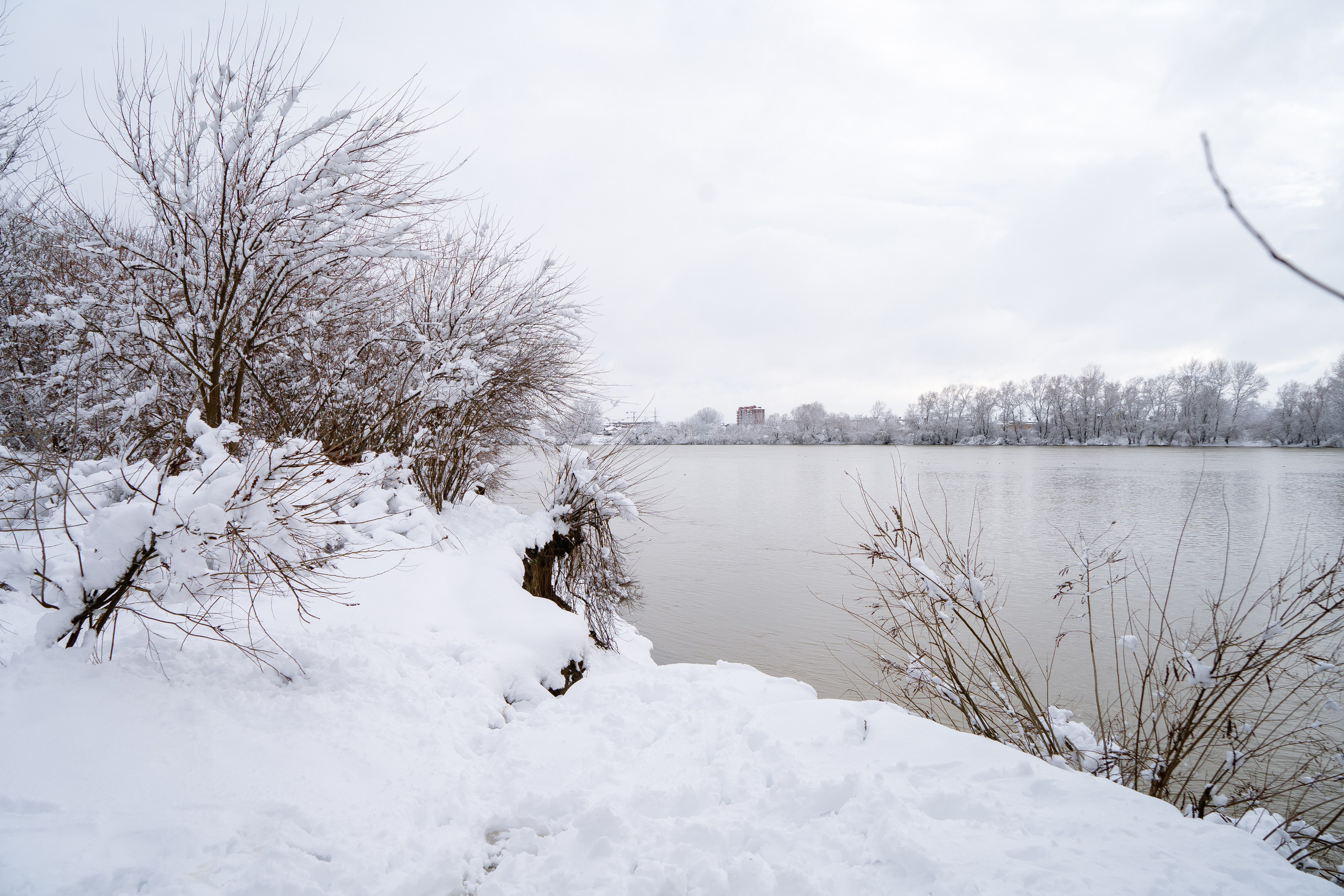 Зима 2024. Свадебный и семейный фотограф/видеограф в Краснодаре Наталья Осинская