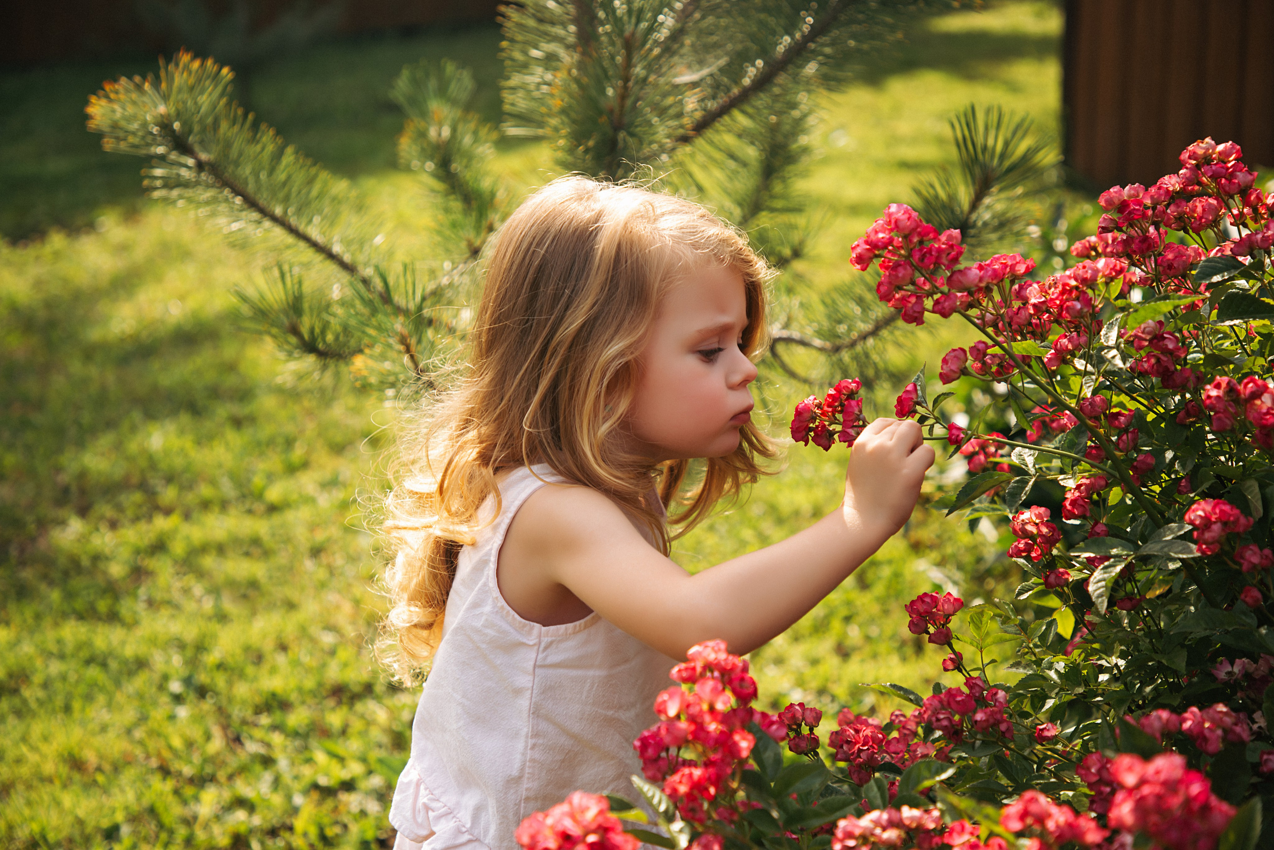 Кира. Свадебный и семейный фотограф/видеограф в Краснодаре Наталья Осинская