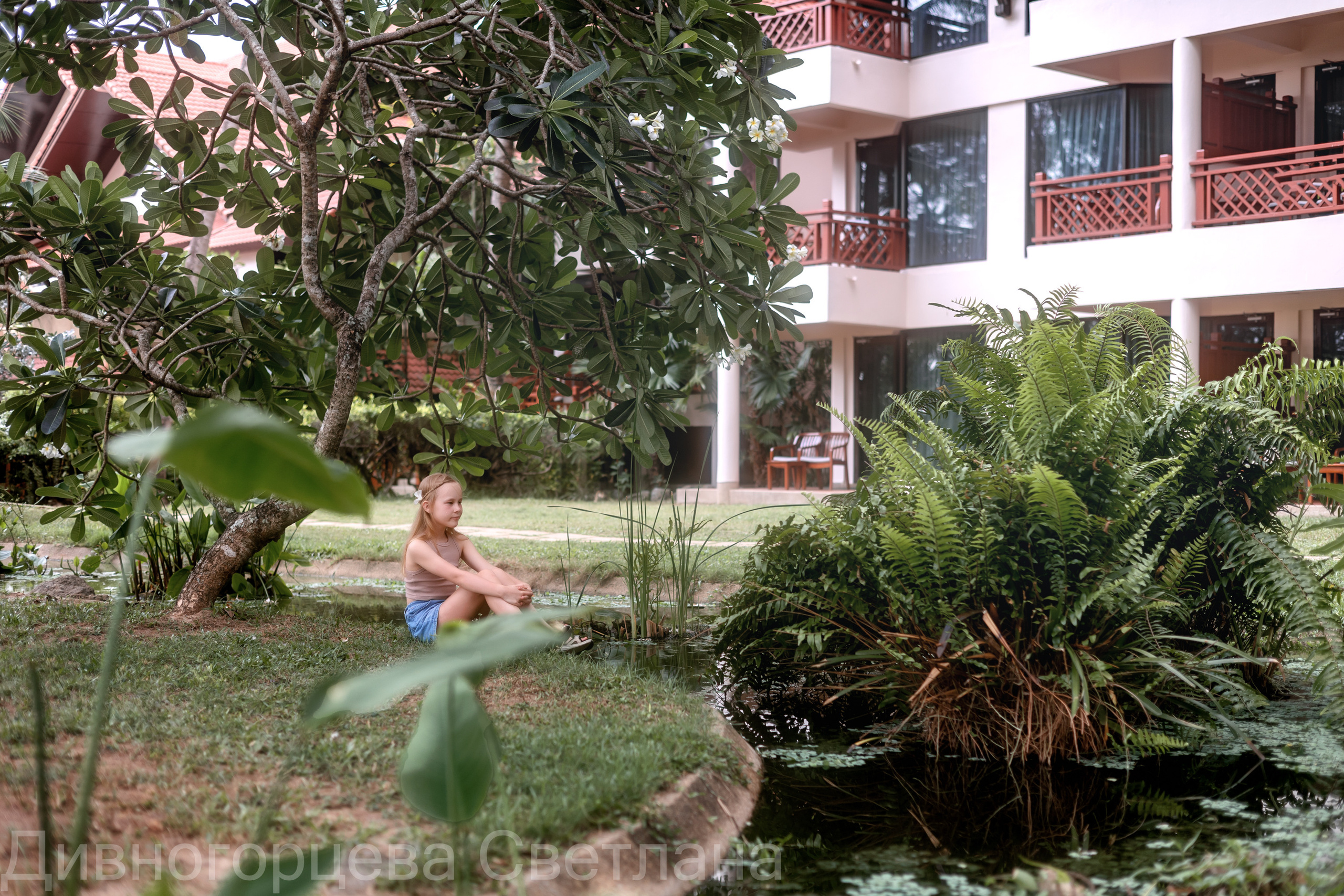 Сказочный лес. Семейный и детский фотограф в Красноярске, Дивногорцева Светлана