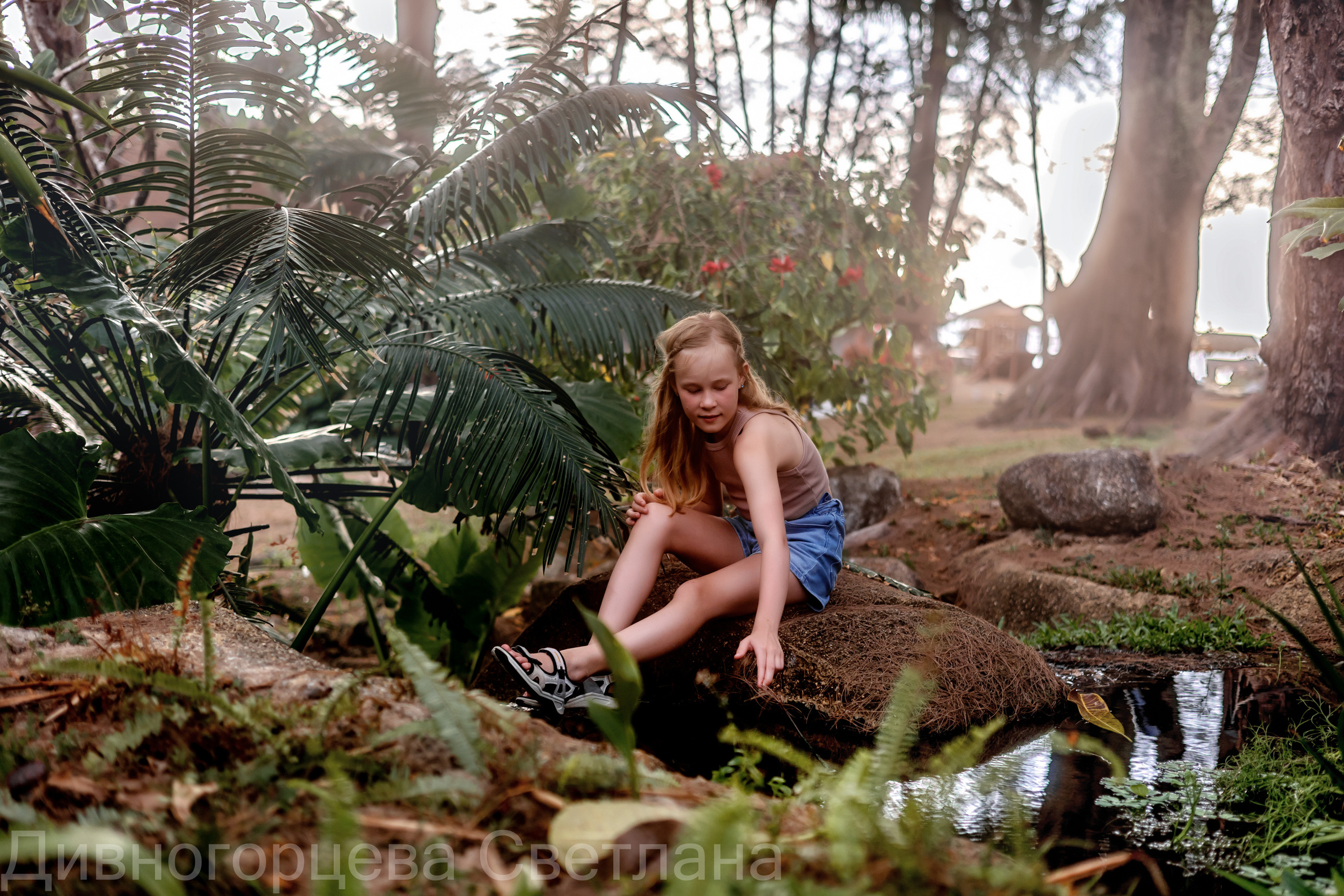 Сказочный лес. Семейный и детский фотограф в Красноярске, Дивногорцева Светлана