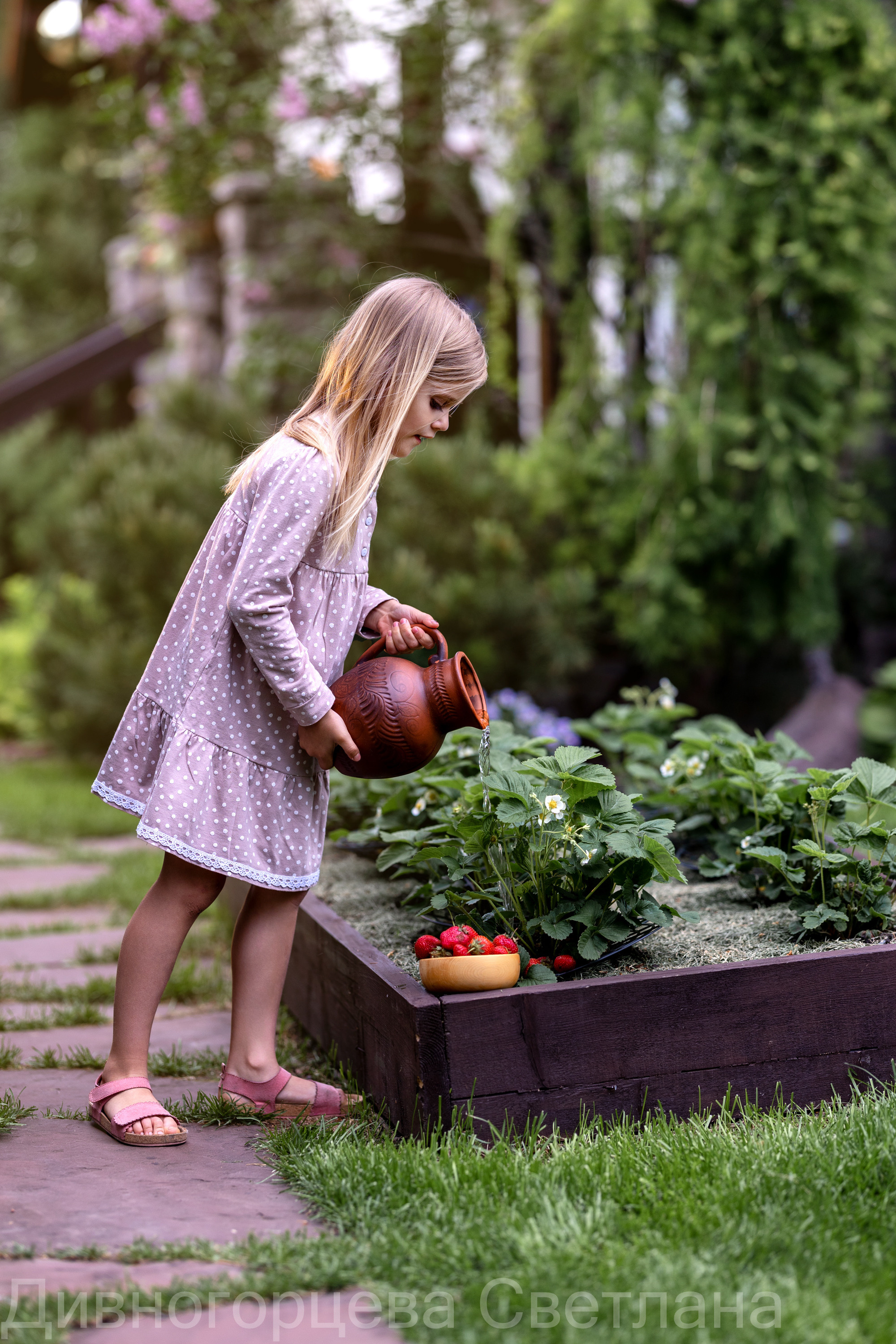 Ягодное Настроение. Семейный и детский фотограф в Красноярске, Дивногорцева Светлана