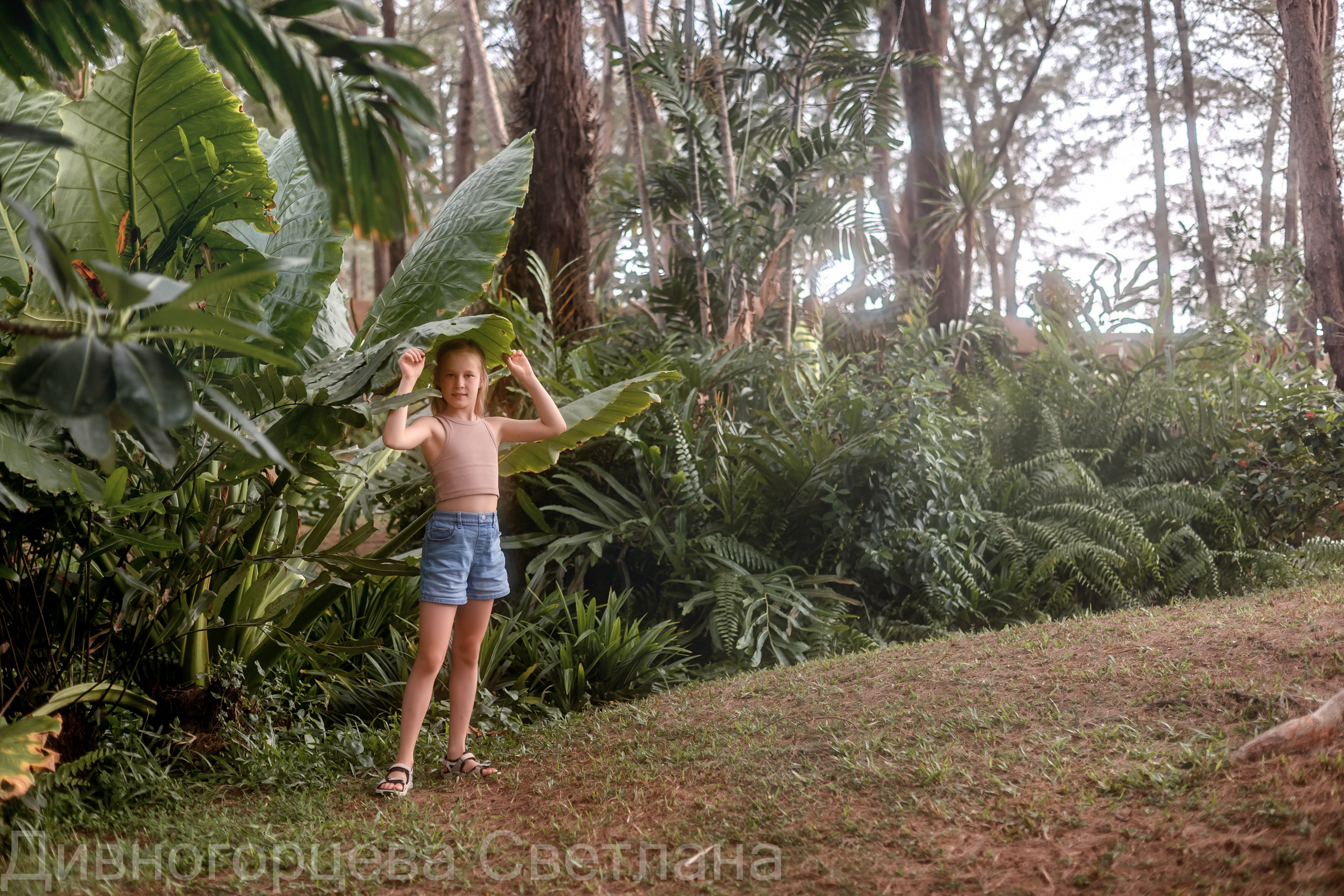 Сказочный лес. Семейный и детский фотограф в Красноярске, Дивногорцева Светлана