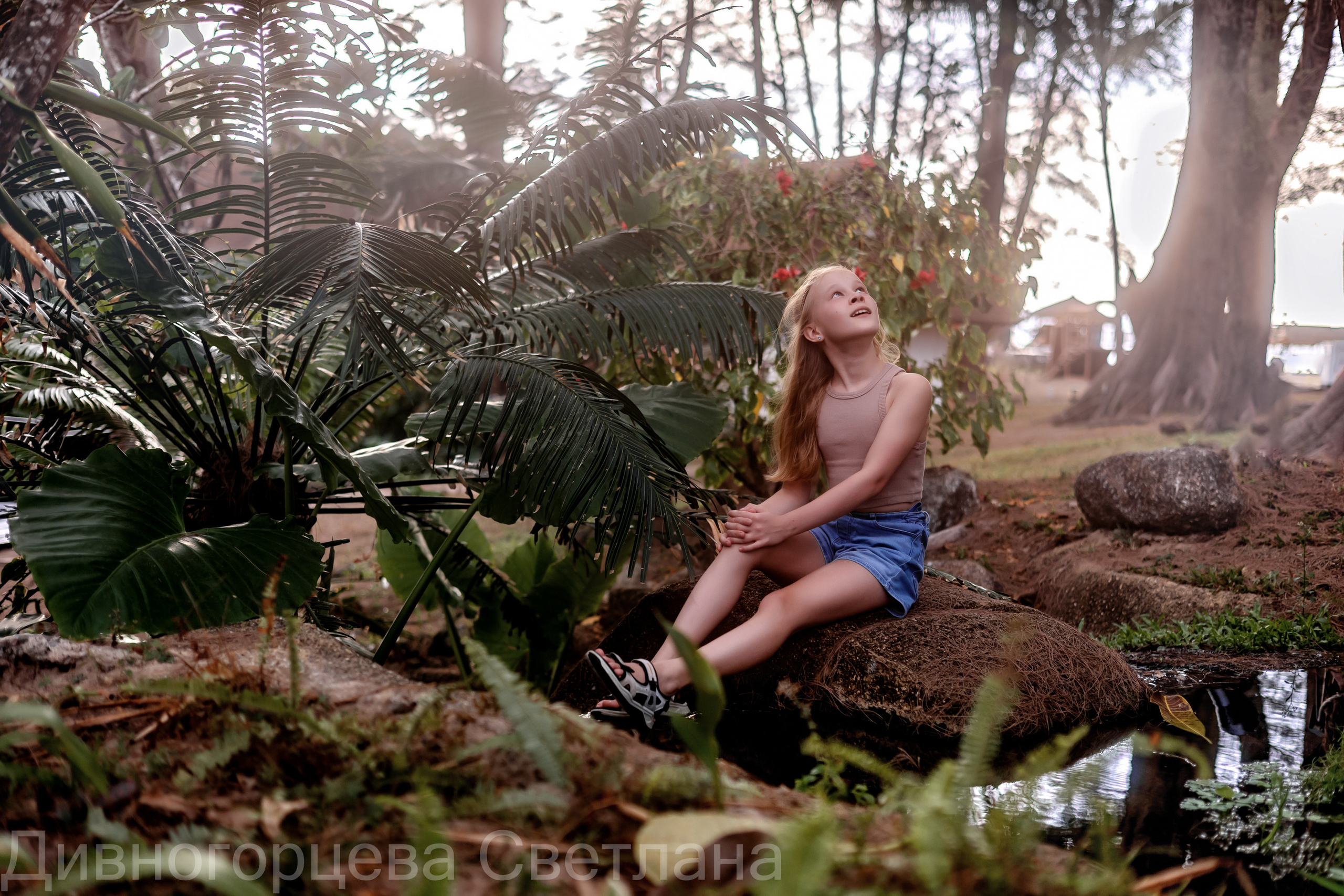 Сказочный лес. Семейный и детский фотограф в Красноярске, Дивногорцева Светлана